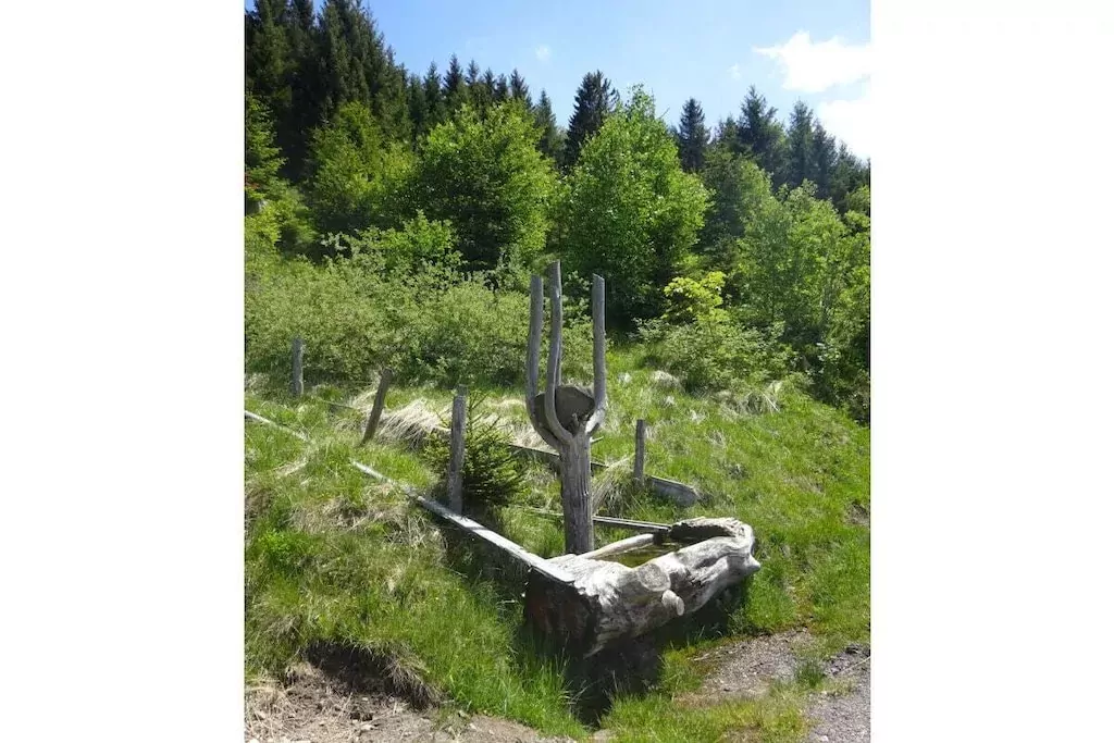 279405-Niet-getagd