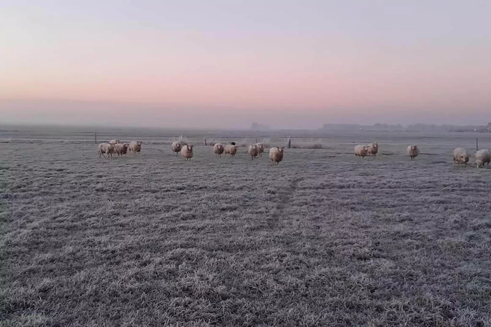 Grutto-Uitzicht winter