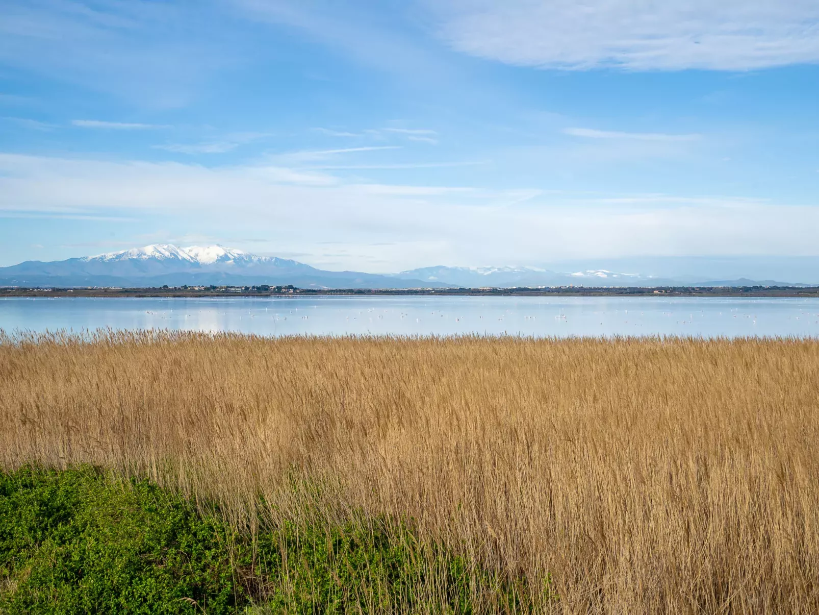 Les Rives du Soleil-Omgeving