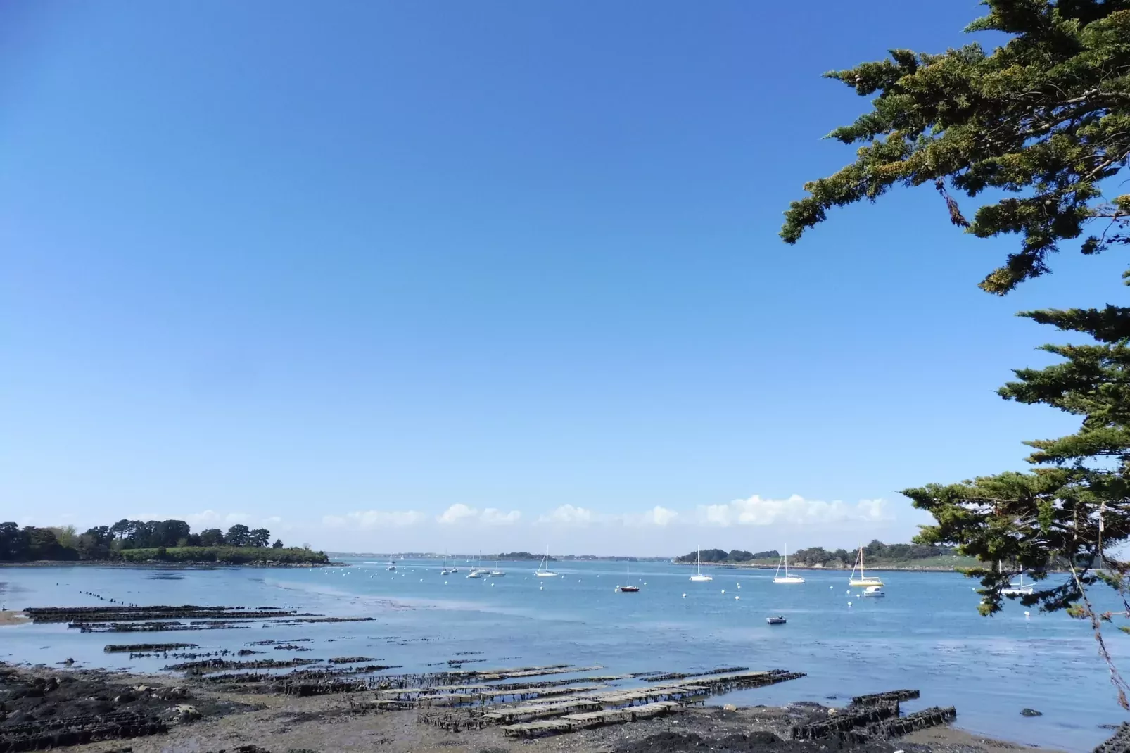 Maison de vacances avec jardin Surzur-Gebieden zomer 20km