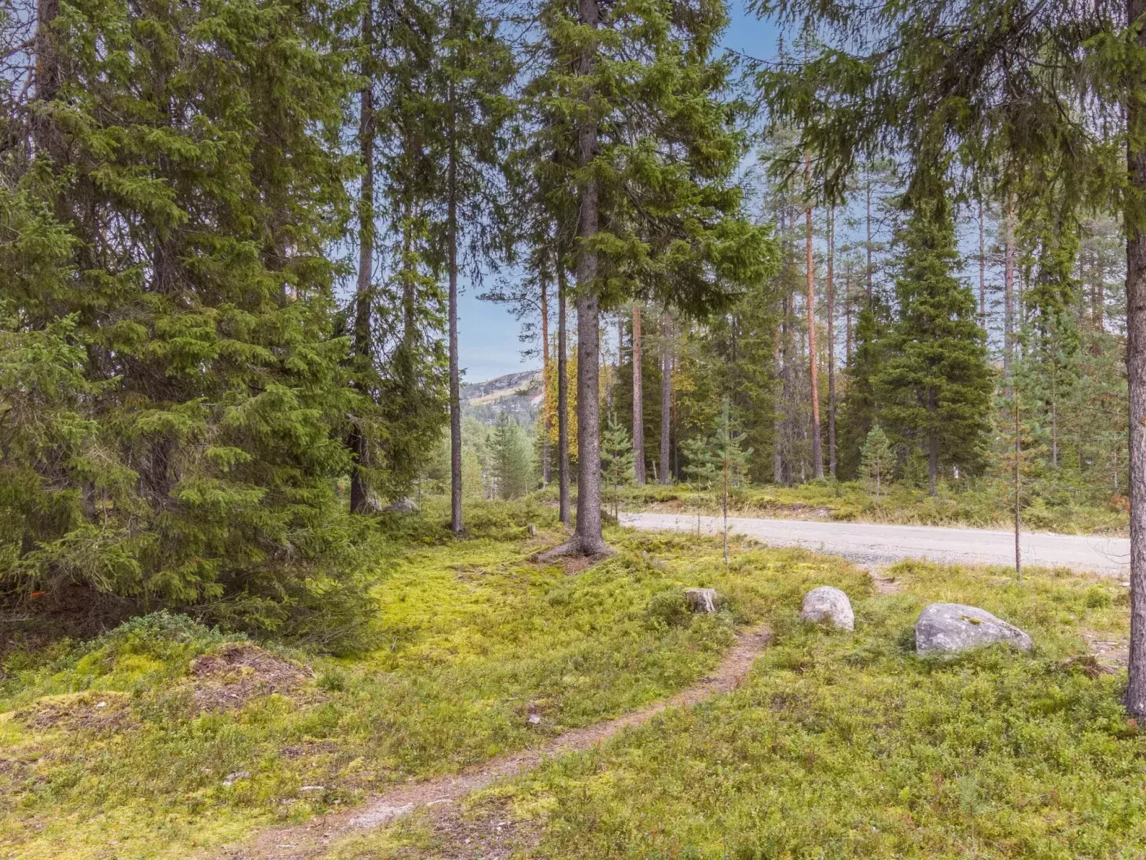 Kuusi-ruka 6-Buiten