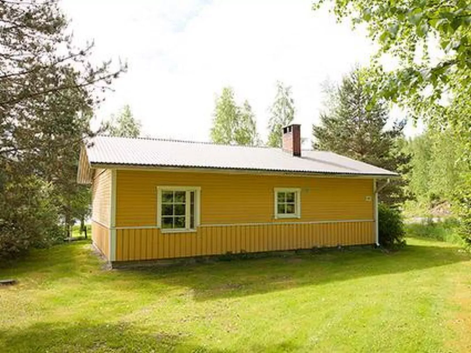 Keltavuokko-Buiten
