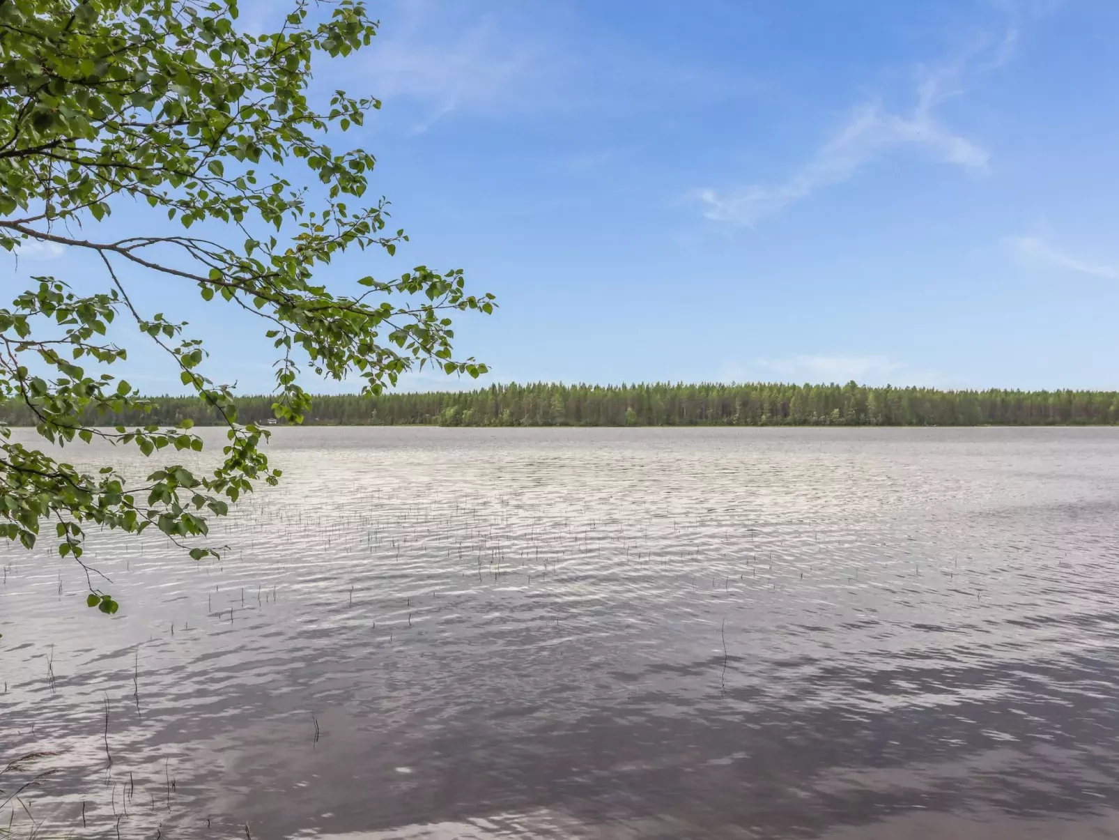 Suvi-tuuli-Buiten