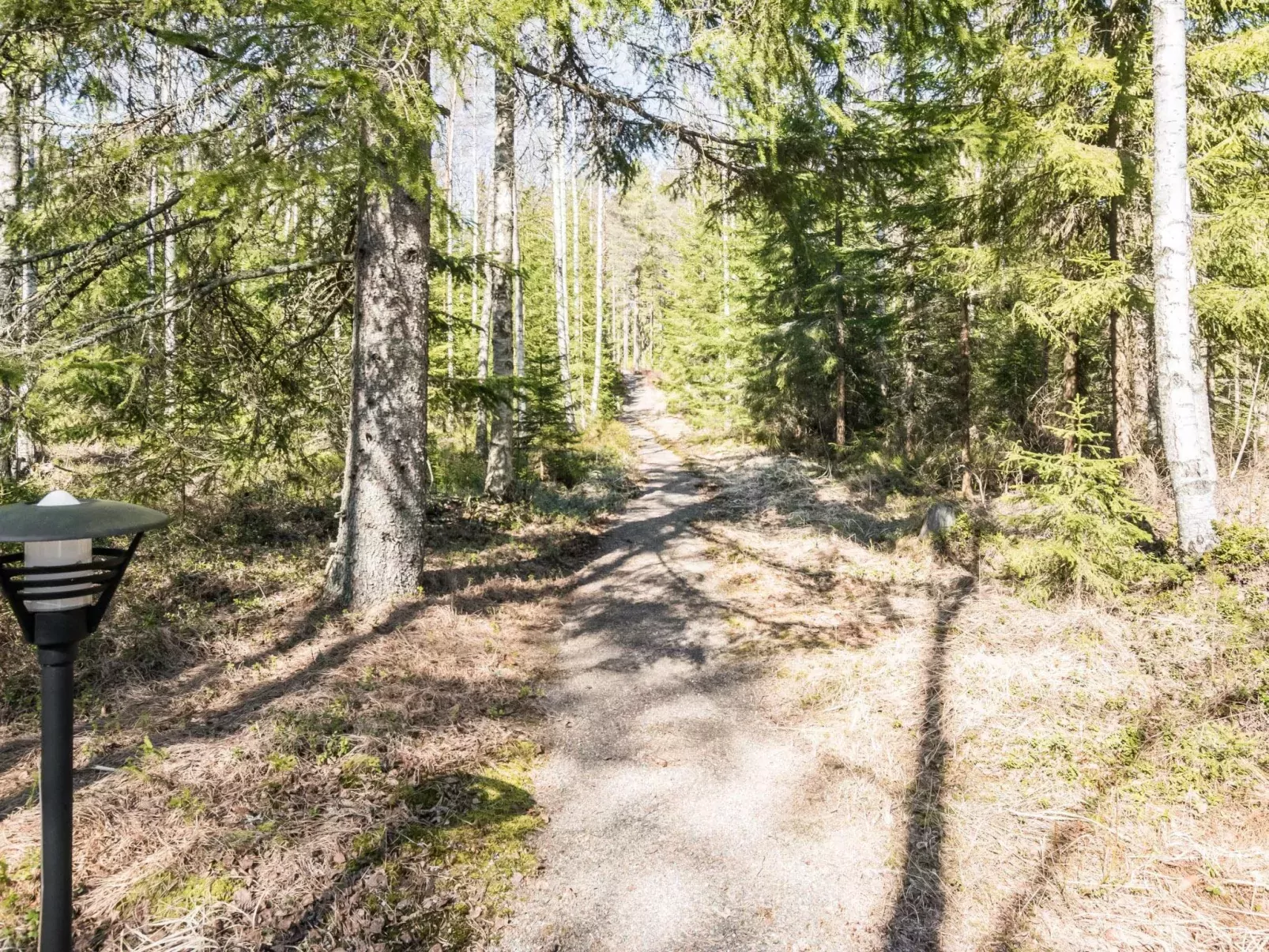 Kiimalammi-Buiten
