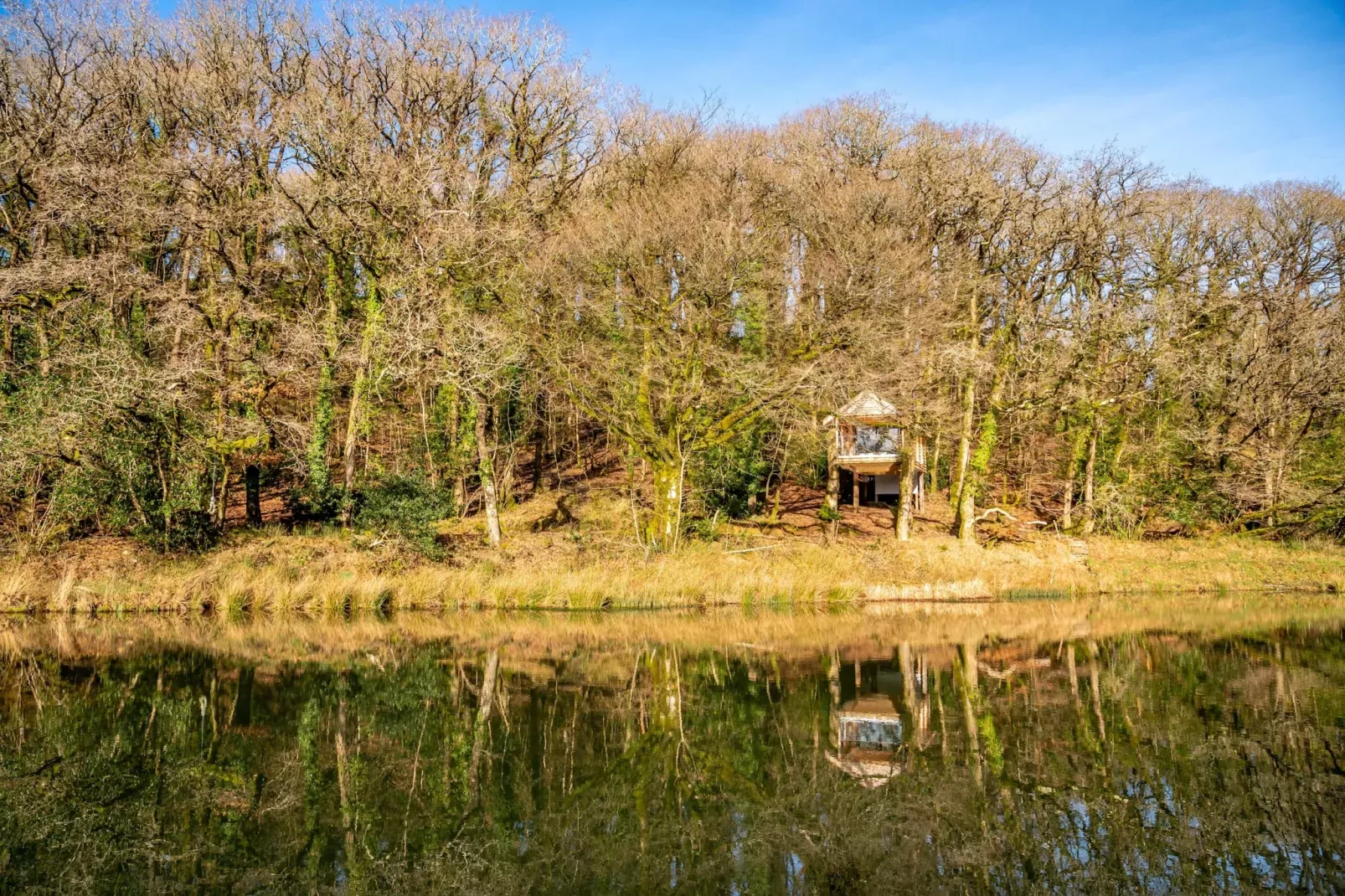 Yeworthy Eco-Treehouse-Buitenlucht