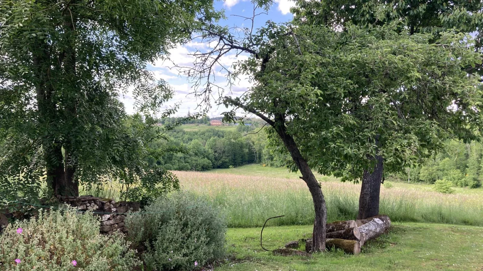 Maison des Yourtes-Tuinen zomer
