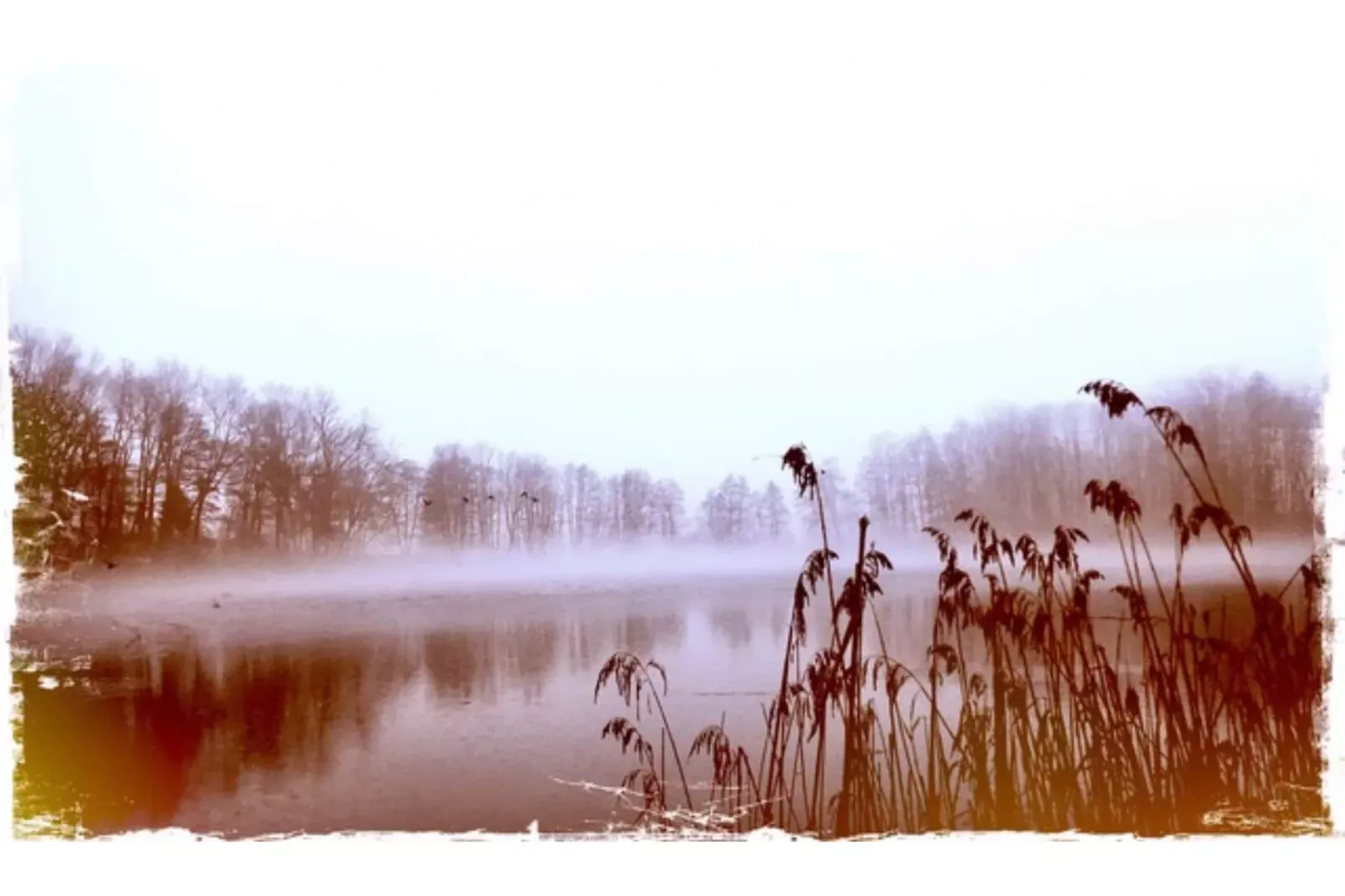 Landlust pur 1-Gebied winter 5km