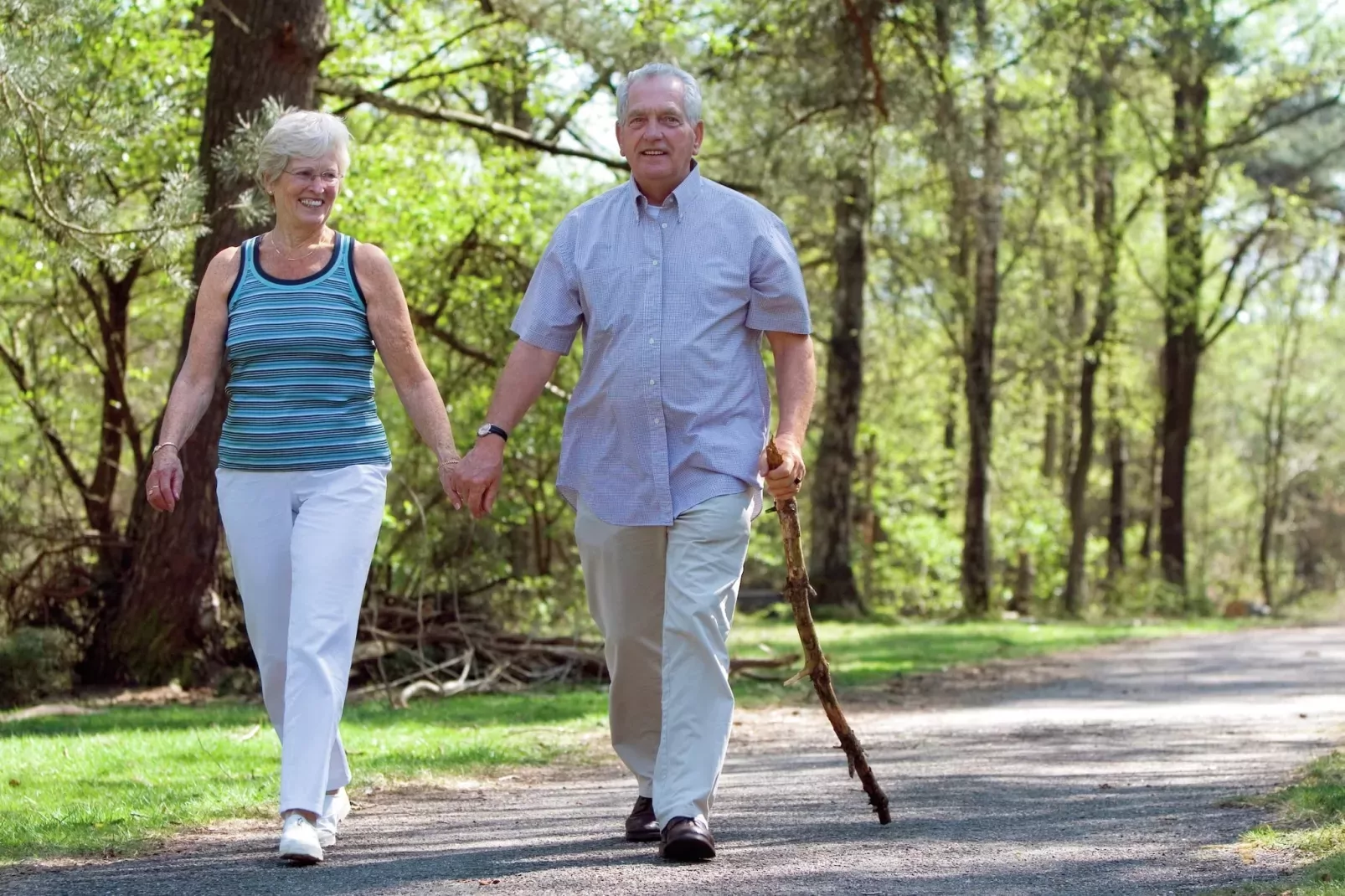 Vakantiepark de Berkenhorst 2-Gebieden zomer 5km