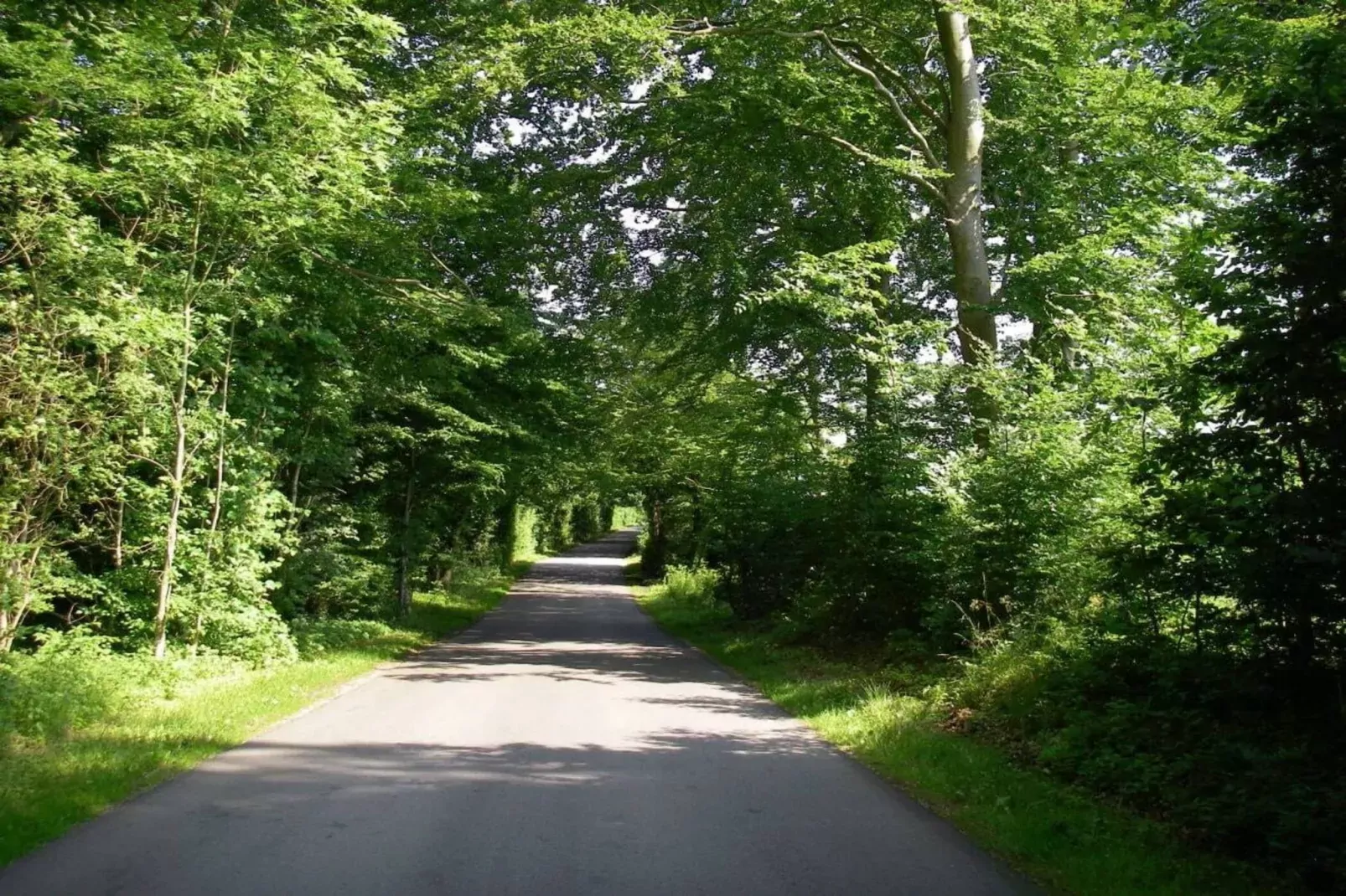 141732-Gebieden zomer 5km