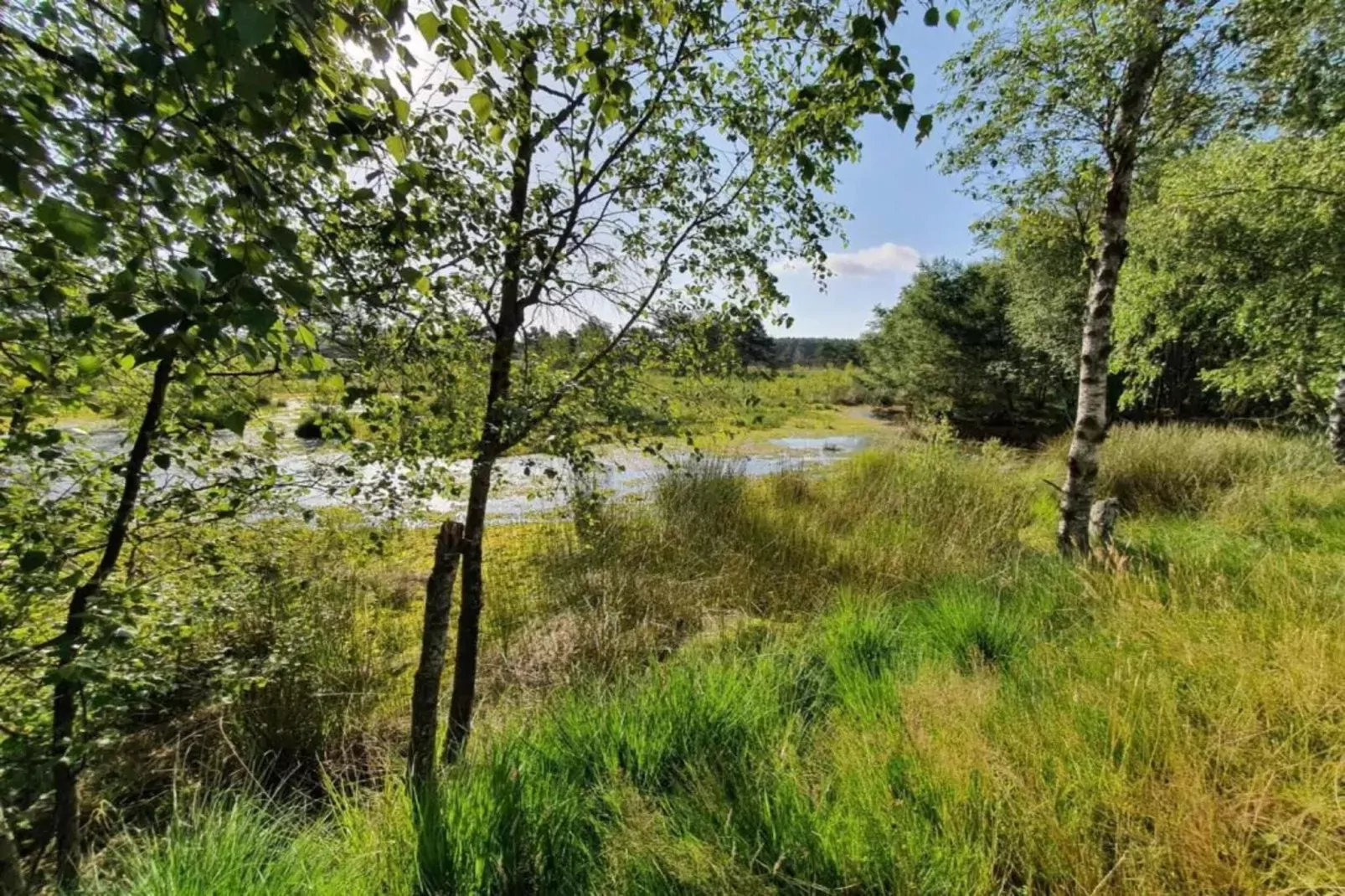 Waldsuite-Gebieden zomer 20km