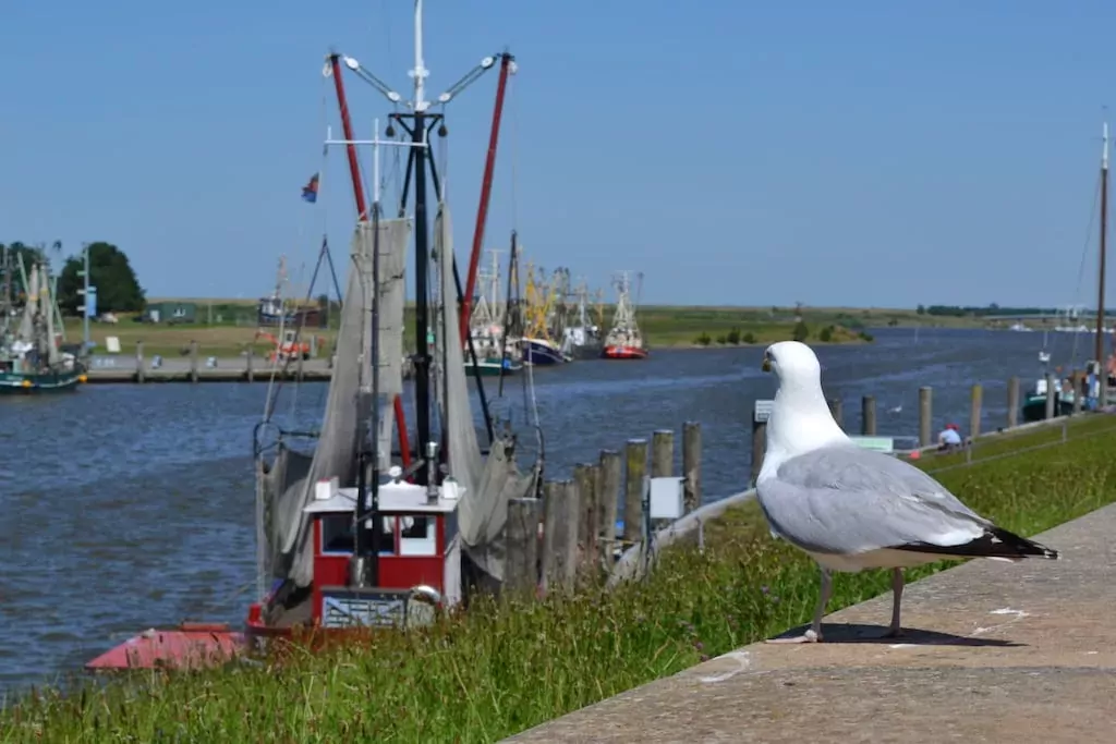 184619-Niet-getagd