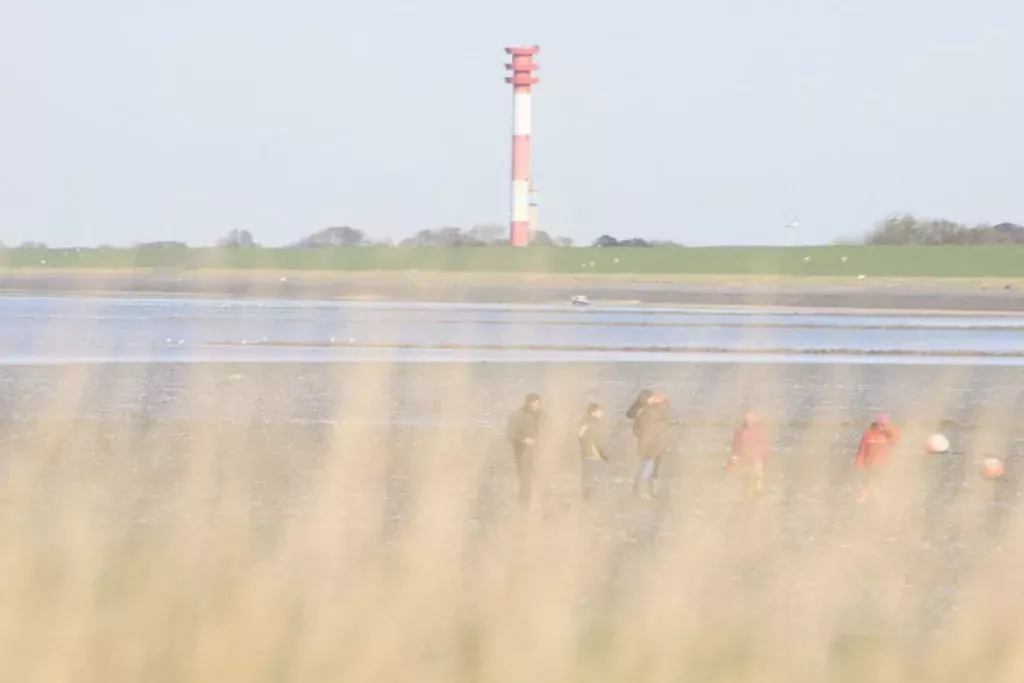 90462-Niet-getagd