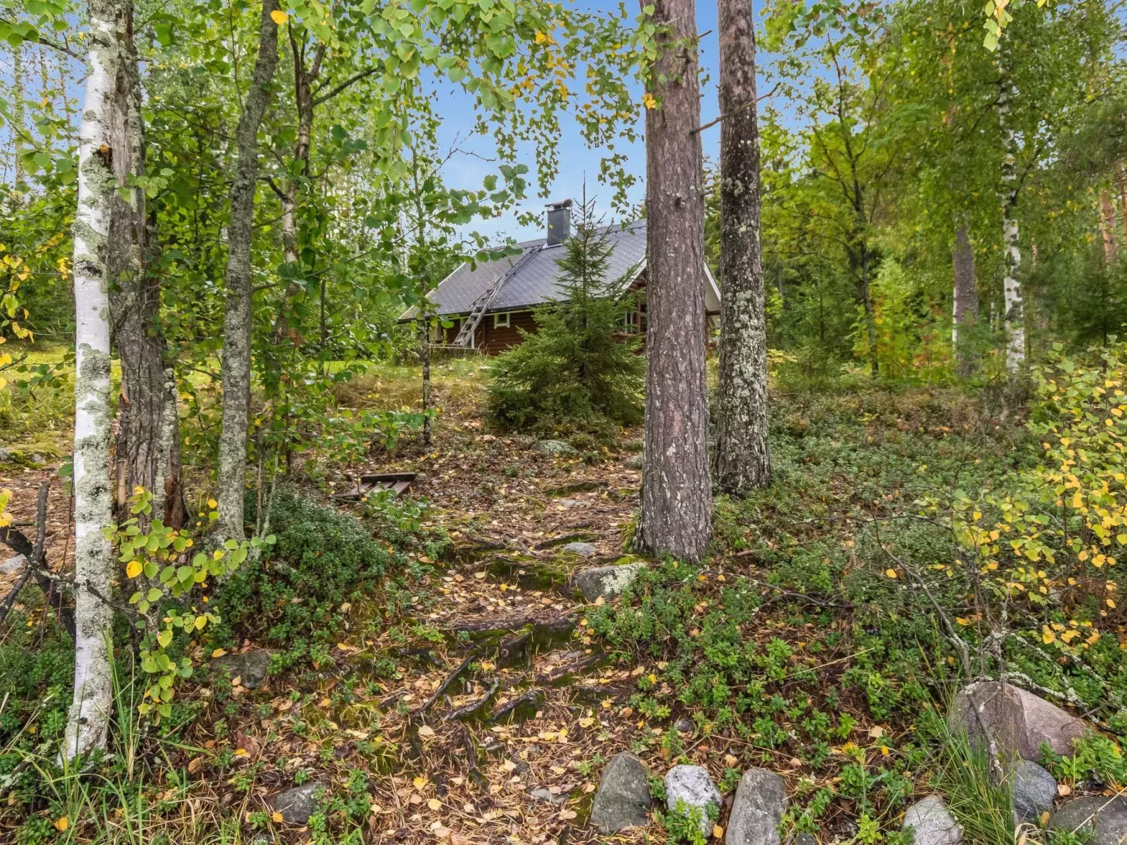 Vihreä mökki-Buiten