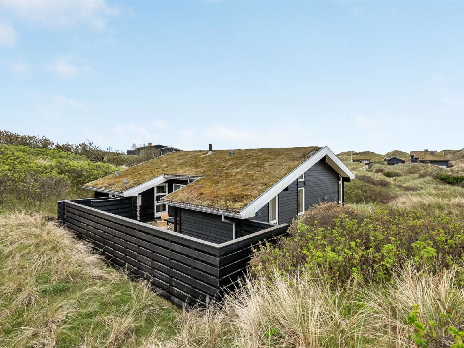 "Næwe" - 80m from the sea in NW Jutland-Buiten