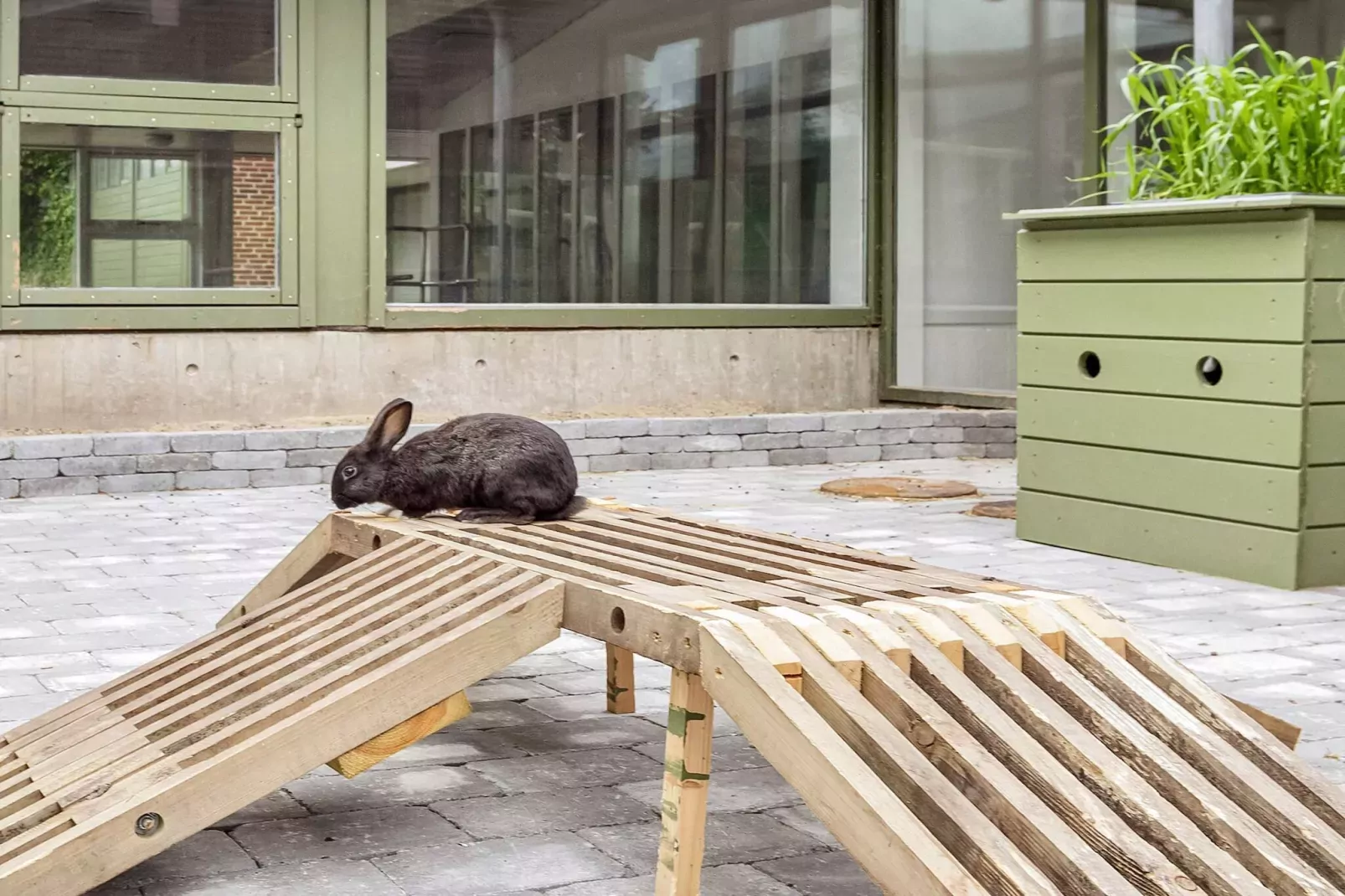 6 persoons vakantie huis op een vakantie park in Hanstholm-Niet-getagd