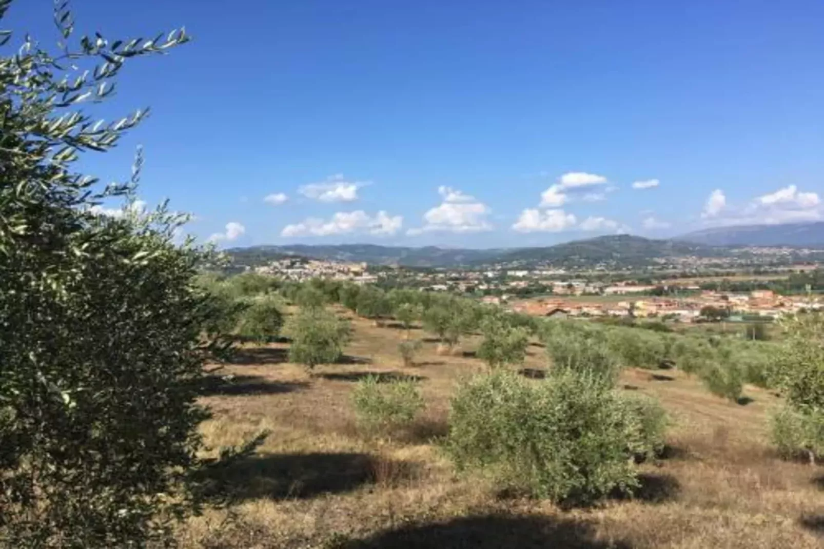 Bilocale-Gebieden zomer 20km