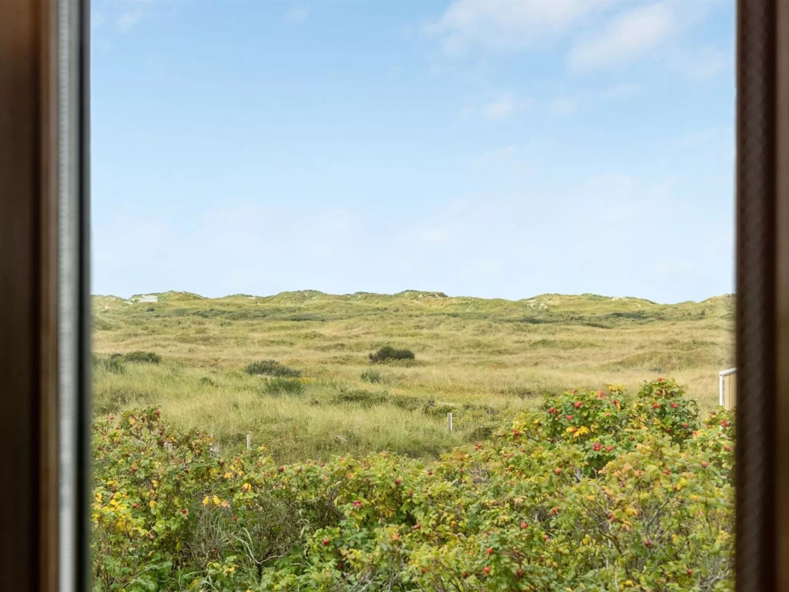 "Annete" - 450m from the sea in Western Jutland-Buiten