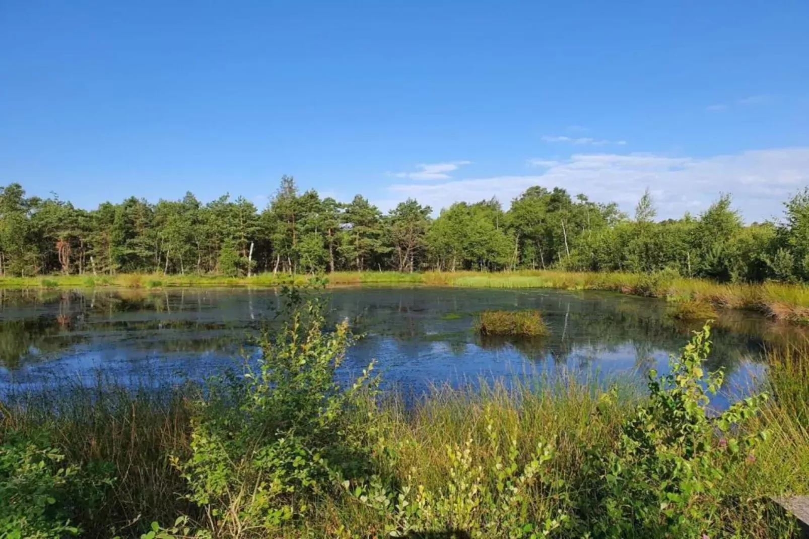 Waldsuite-Gebieden zomer 20km