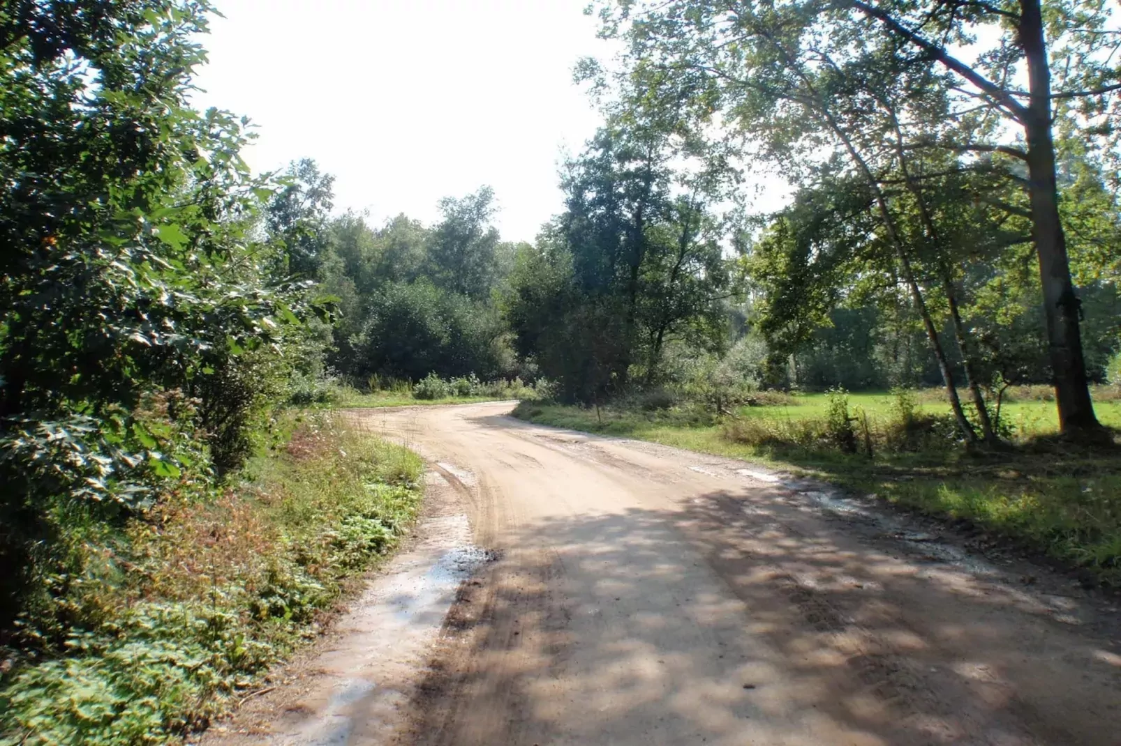 Sparrowhawk-Gebieden zomer 5km