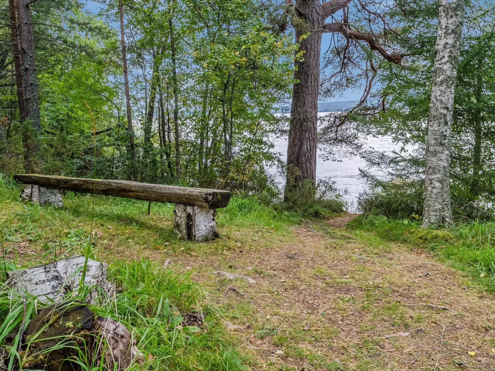 Säästöloma 5 c 10 by bomba-Buiten