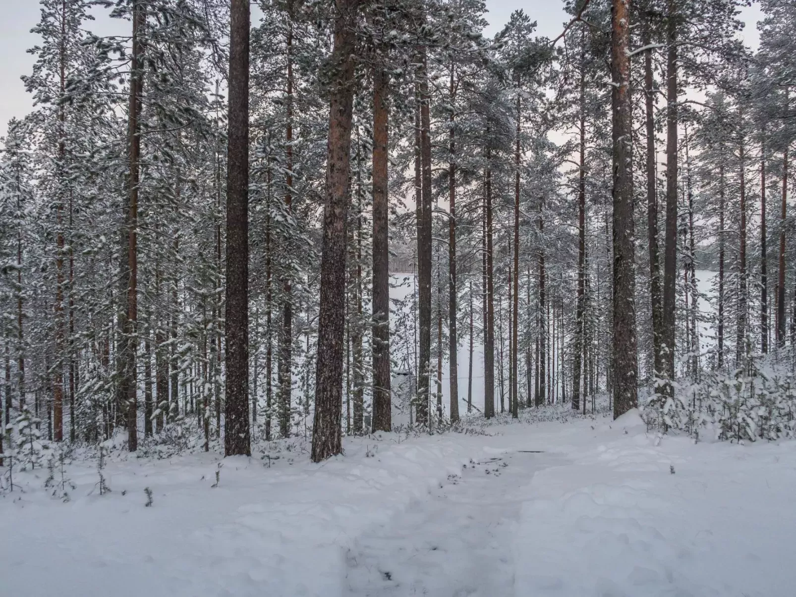 Mäntylä a-osa-Buiten