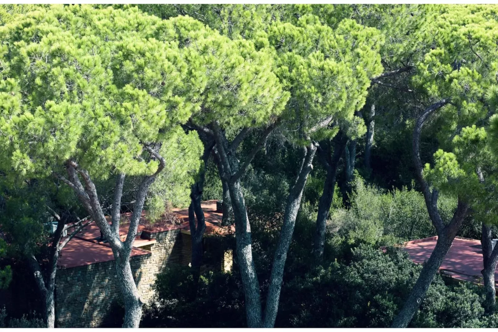 ROCCAMARE RESORT 3-Zi-App Villa Grande Terrasse 75 qm-Gebieden zomer 1km