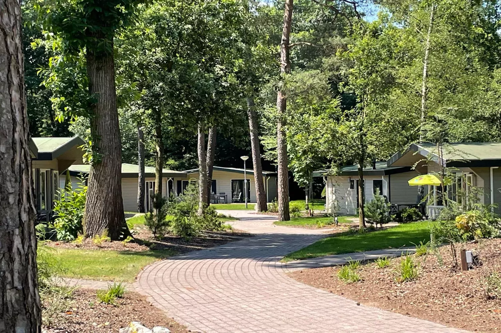 Bungalow Chalet+ | 2 - 4 people-Gebieden zomer 1km