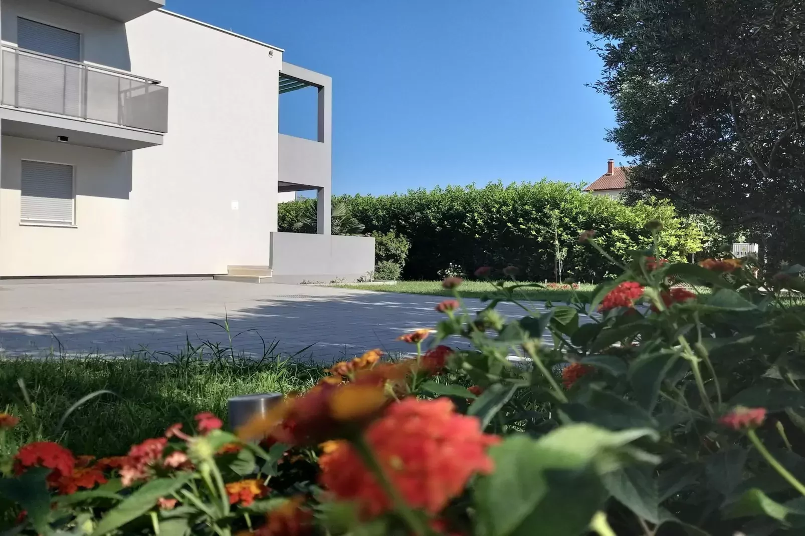 Enelani 1-Tuinen zomer