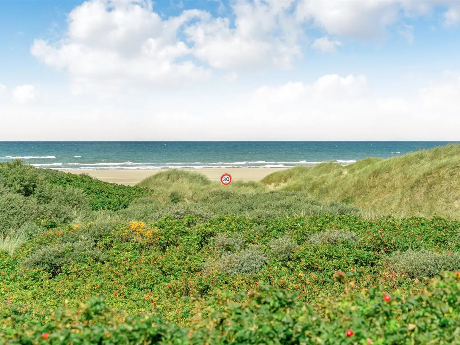 "Ejvind" - 100m from the sea-Buiten