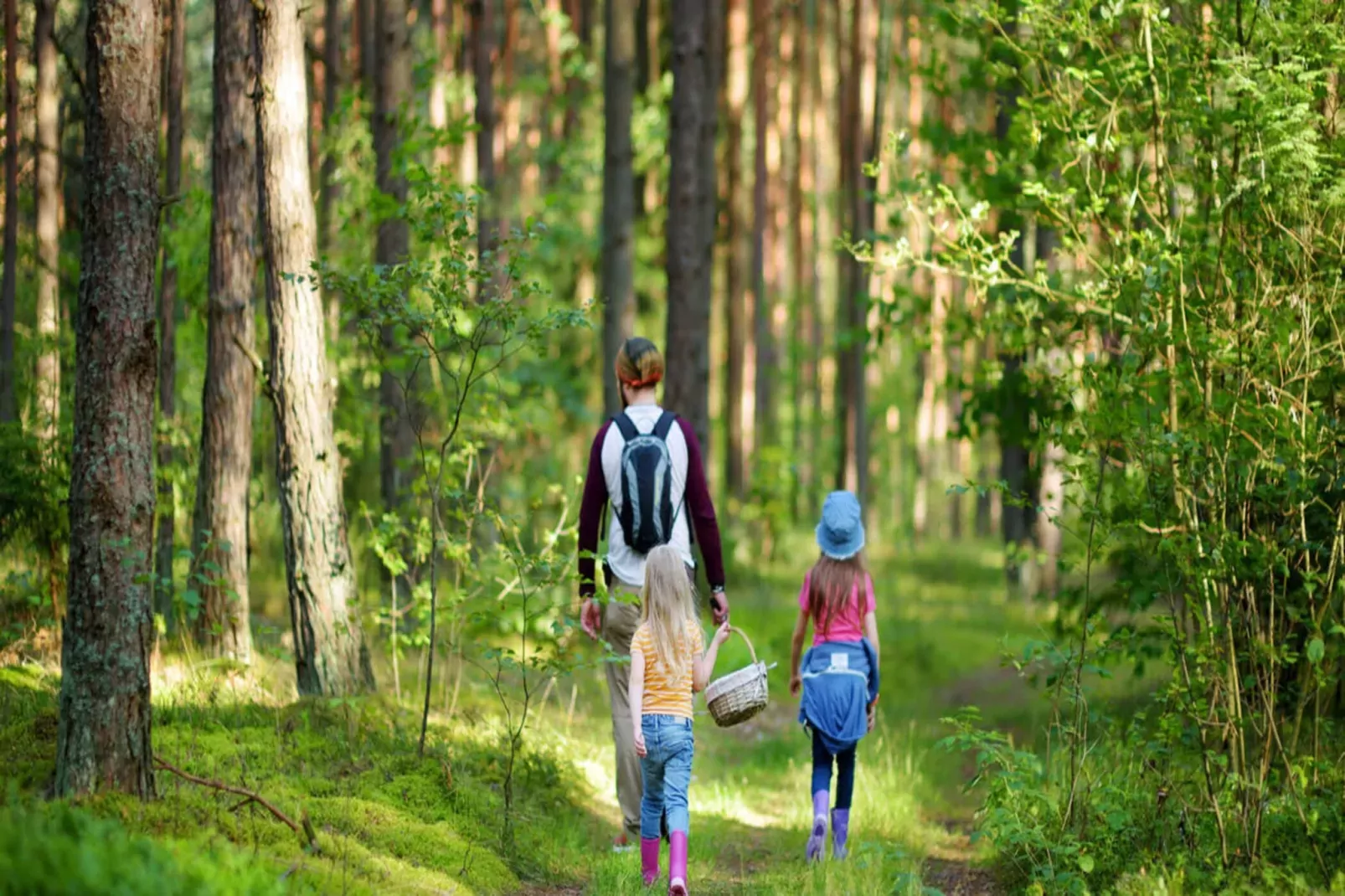 Premiumchalet bis 2 Pers-Gebieden zomer 5km