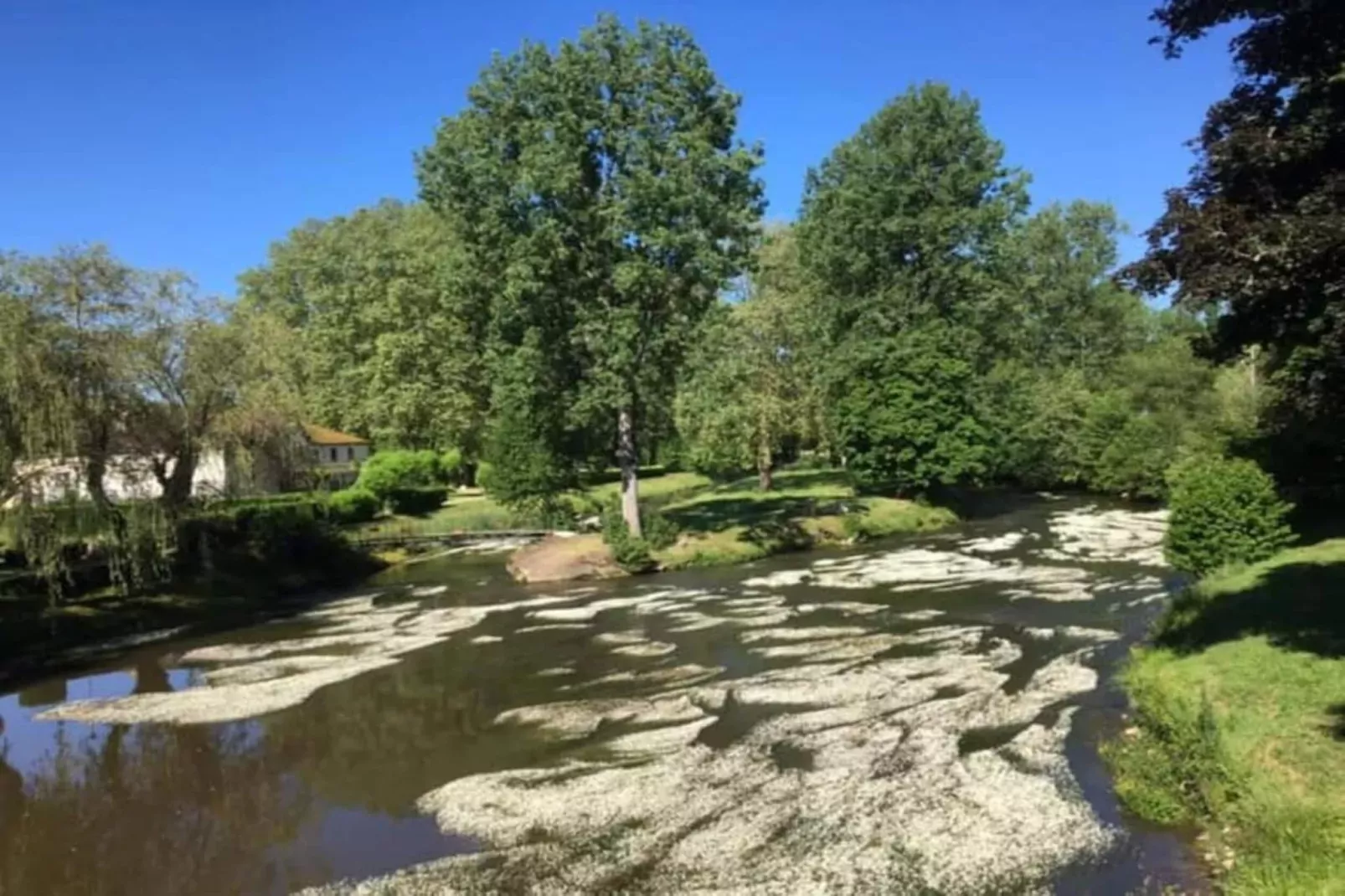 Buissonnière-Gebieden zomer 20km