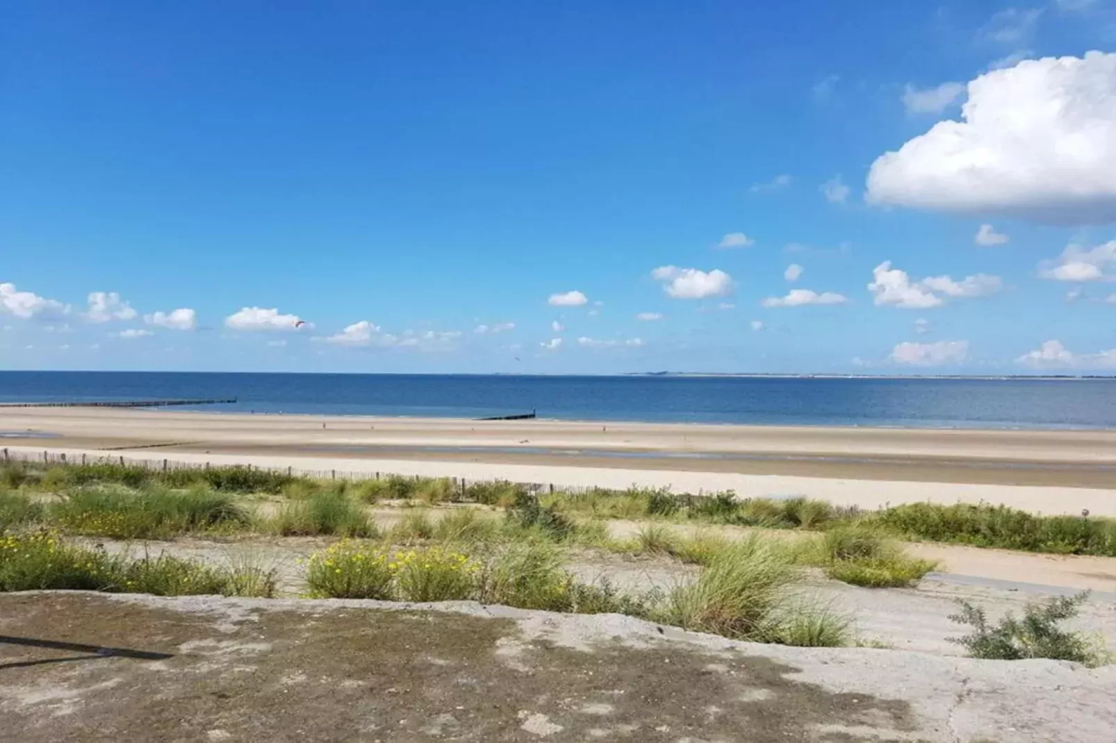 Het Platte Putje - Huisdier - nr 2-Gebieden zomer 20km