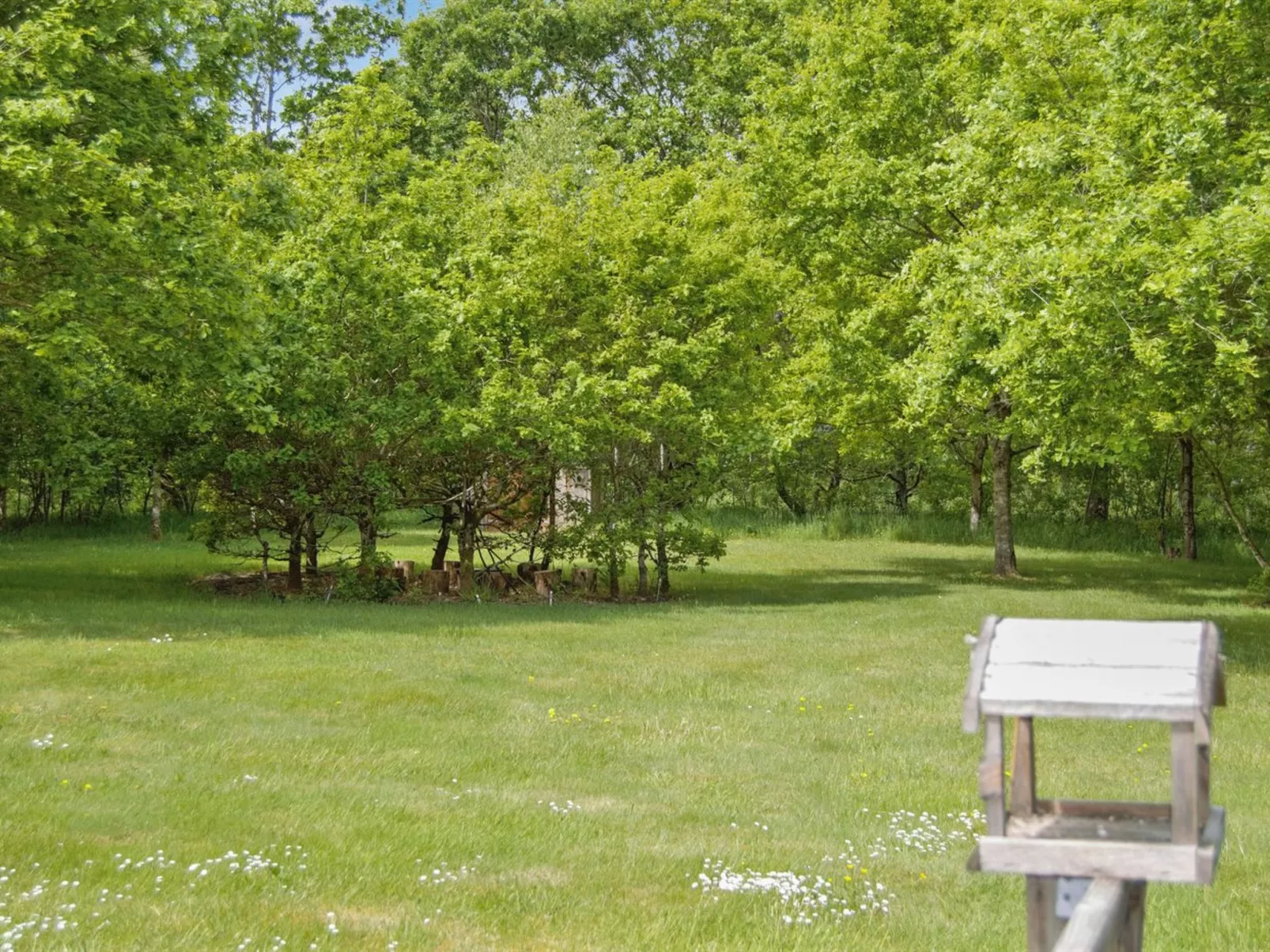"Hailka"-Buiten