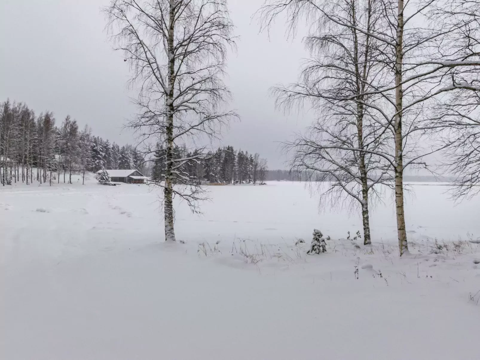 Muikku-Buiten
