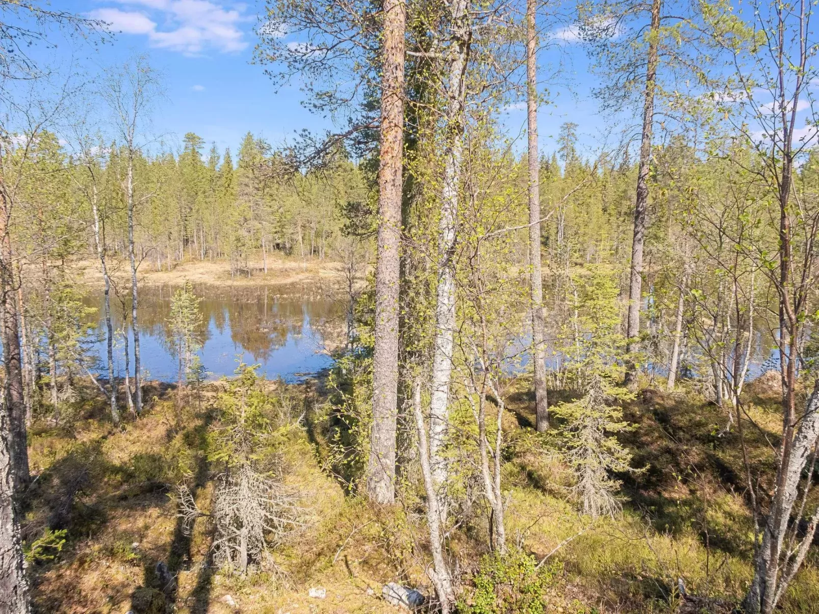 Kiehtäjän lahti-Buiten