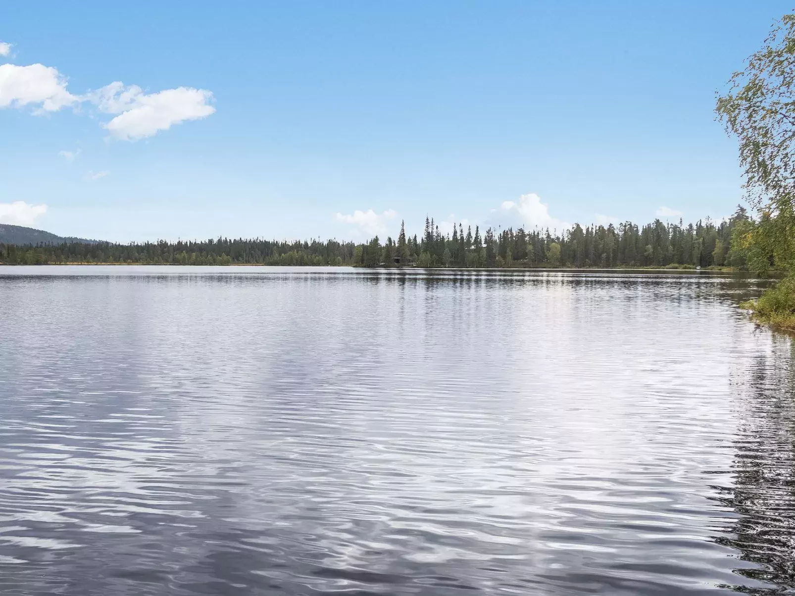 Rukatörmä, kesäjärvi-Binnen