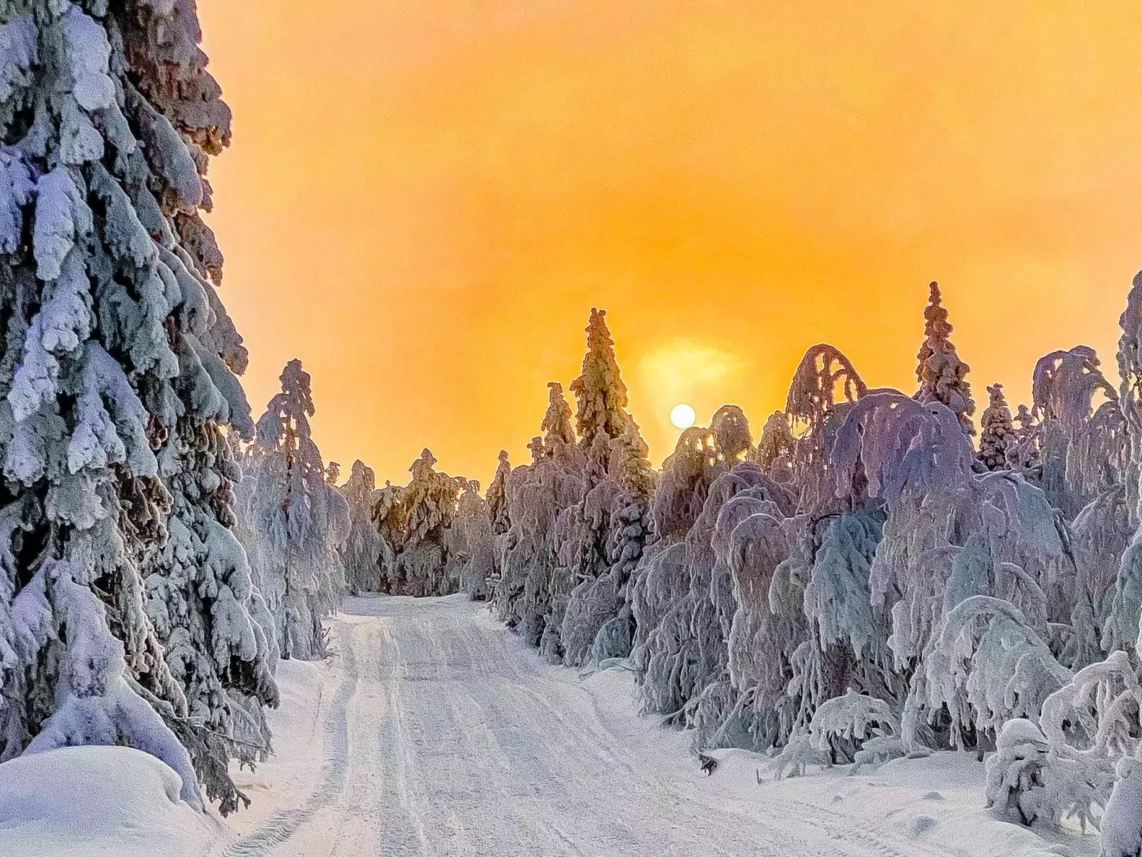Alte ruka ansa-Buiten
