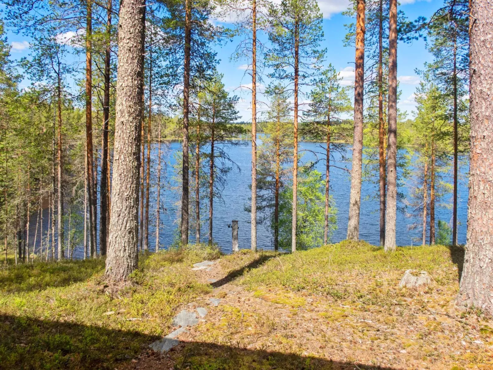 Harjula-Buiten