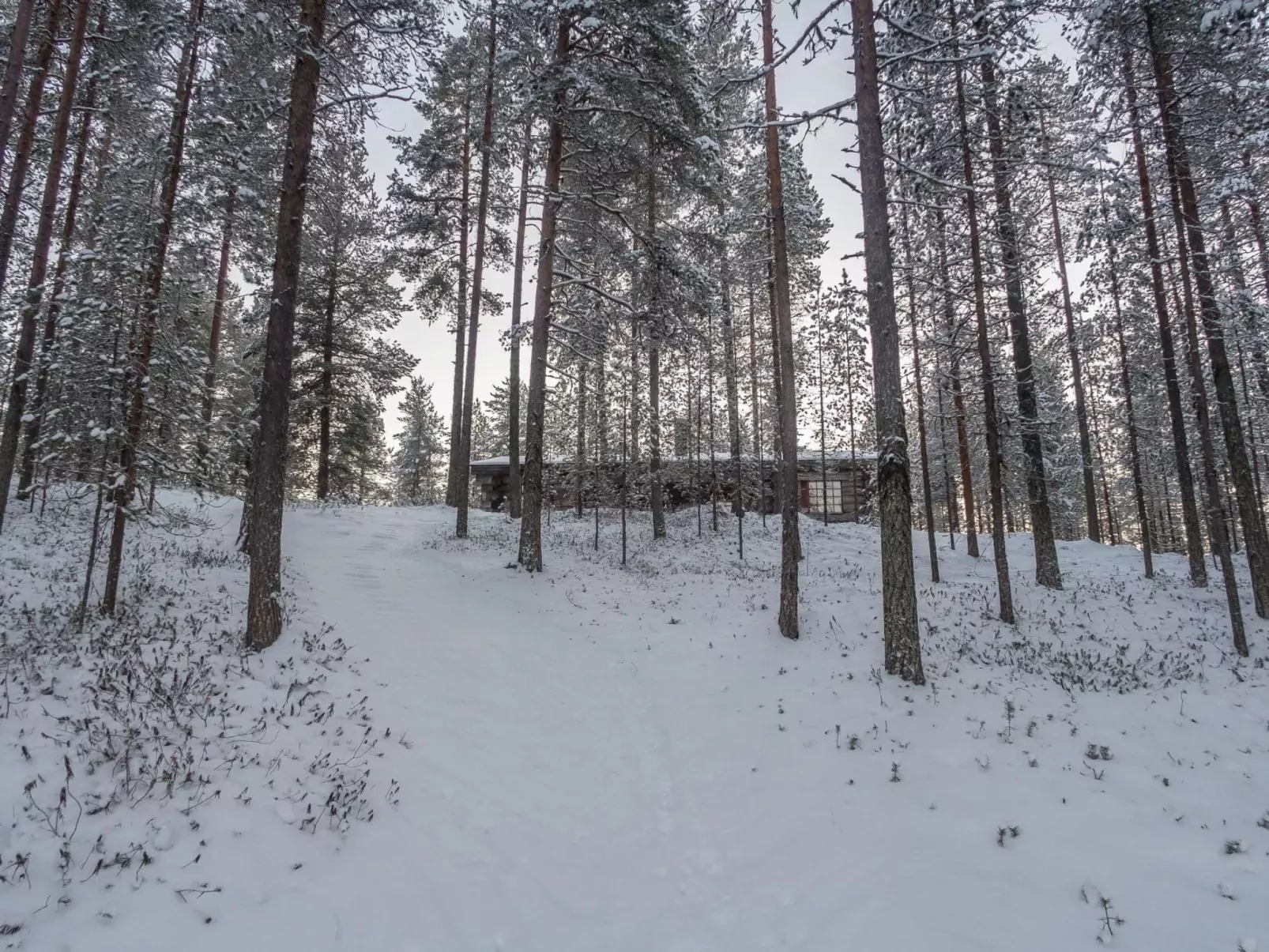 Mäntylä a-osa-Buiten