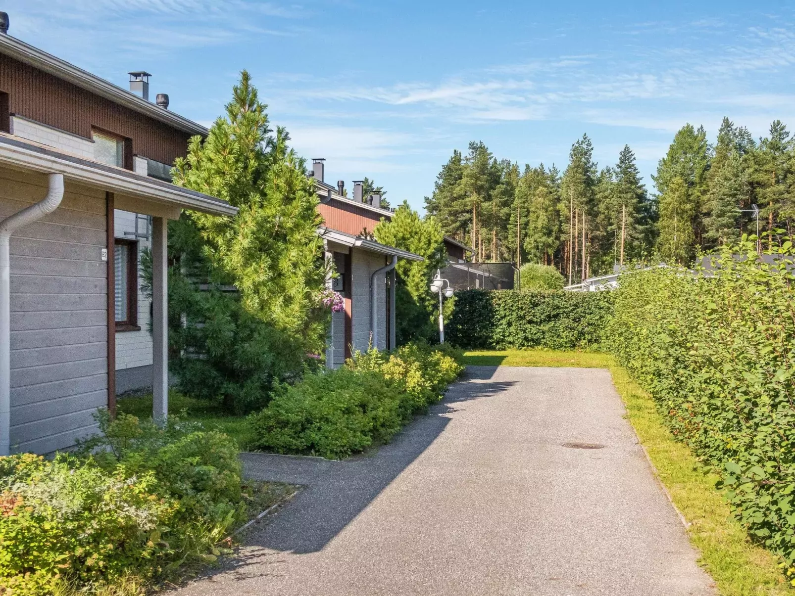 Jäähelmi-Buiten