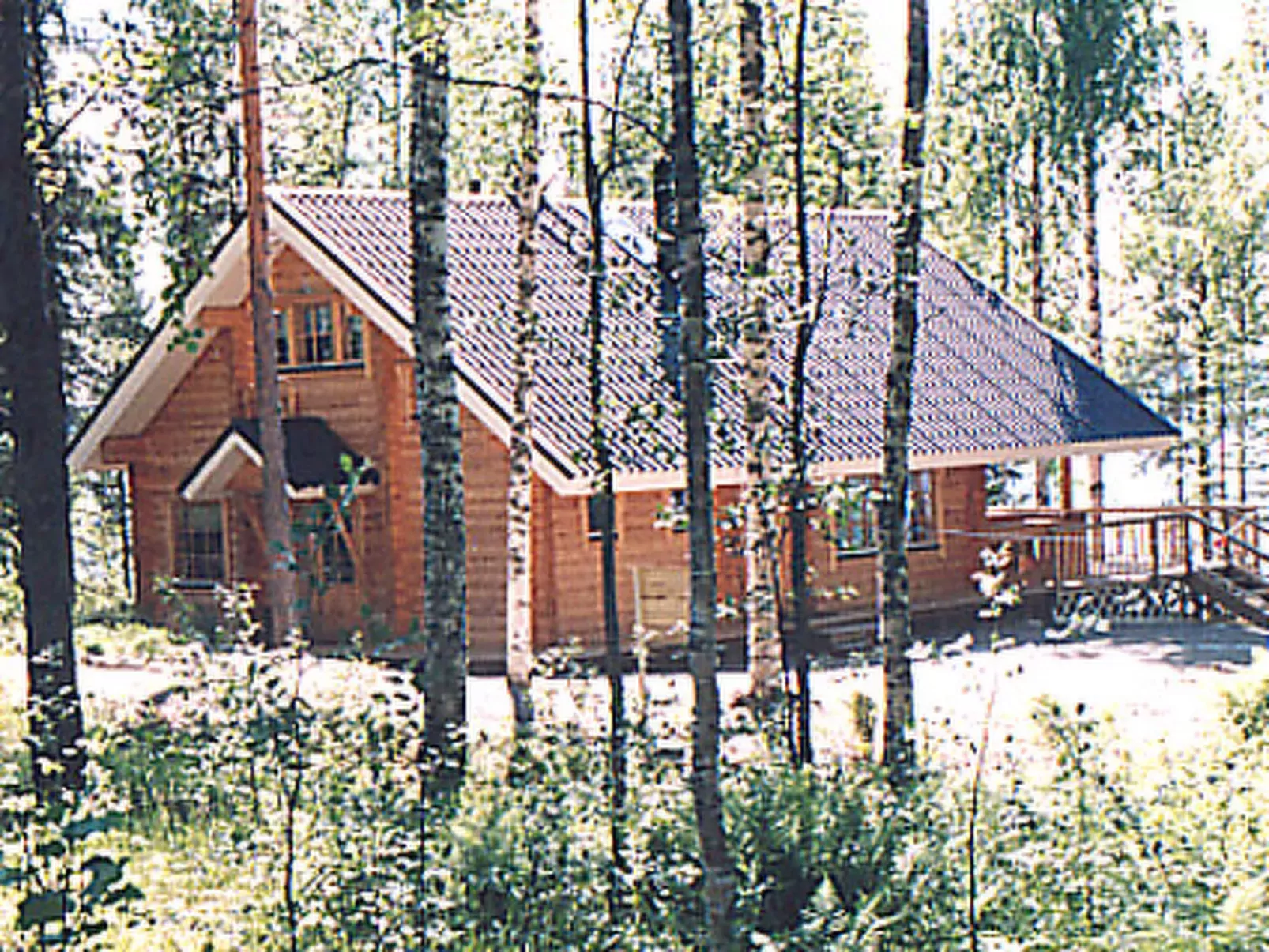 Linnunlaulu-Buiten