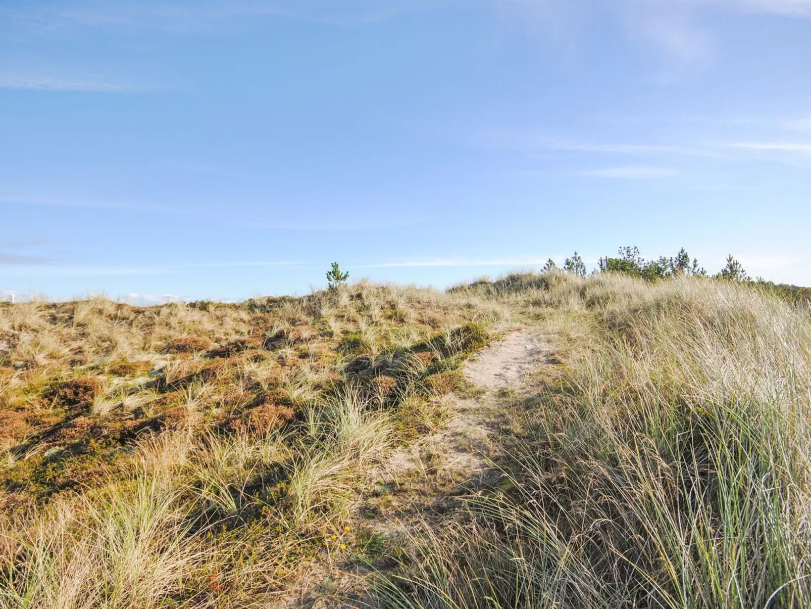 "Hakon" - 900m from the sea-Buiten