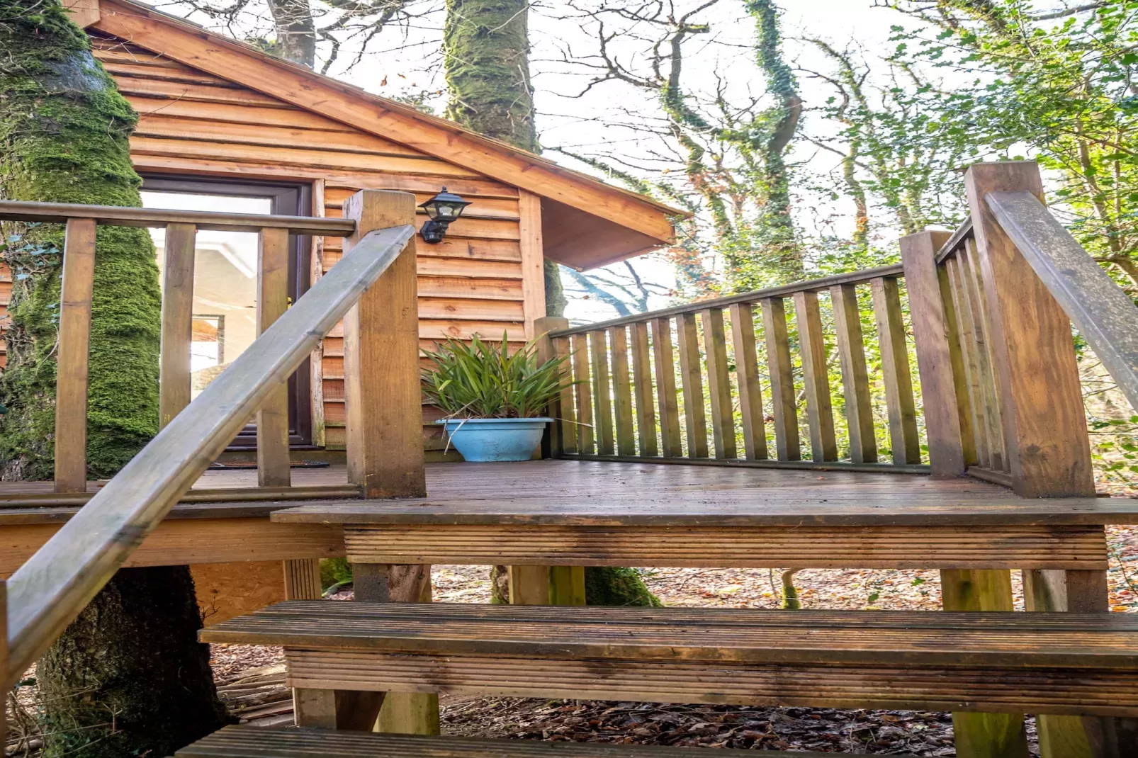 Yeworthy Eco-Treehouse-Buitenlucht