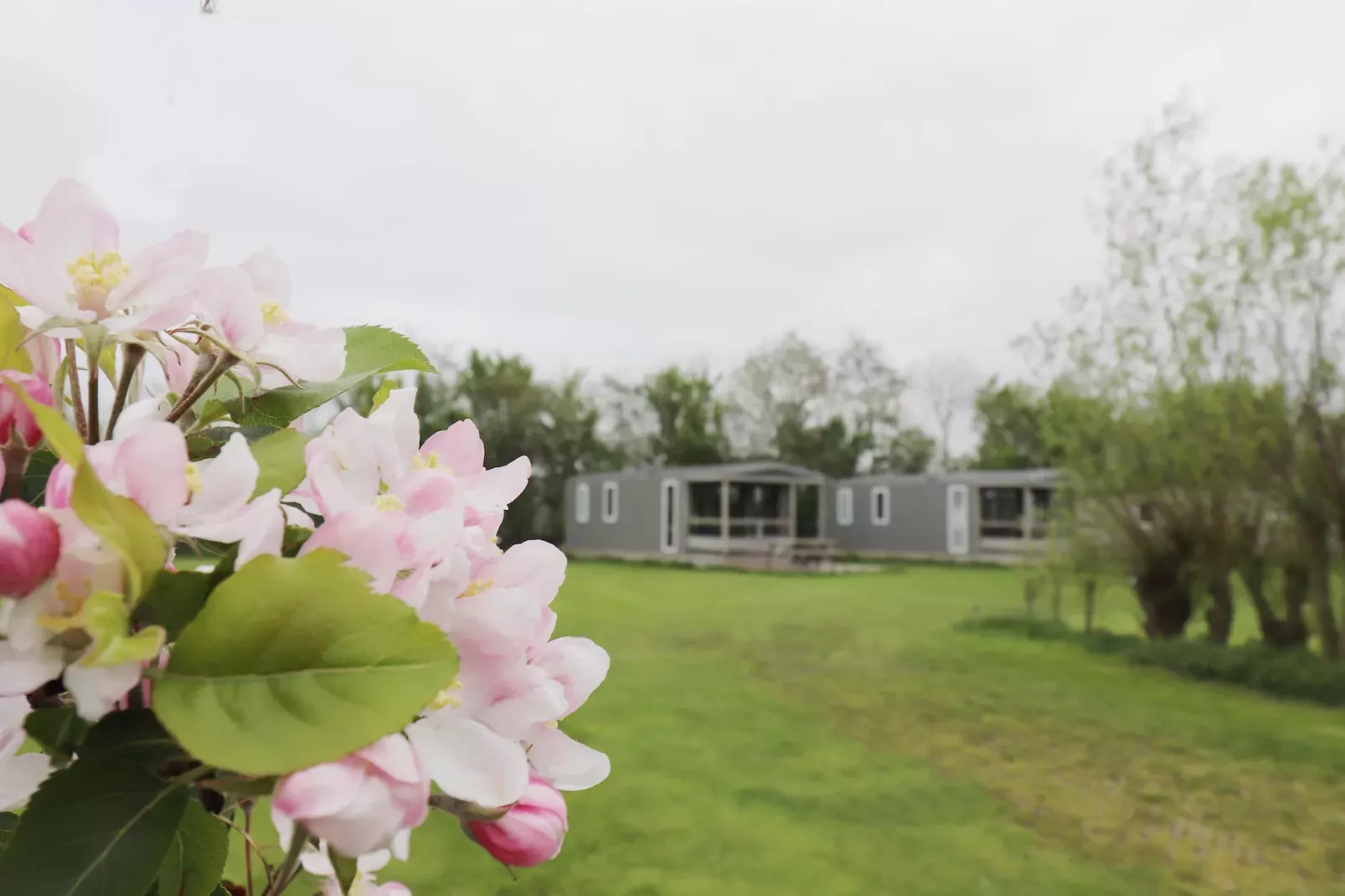 Terraslodge 1-Buitenkant zomer