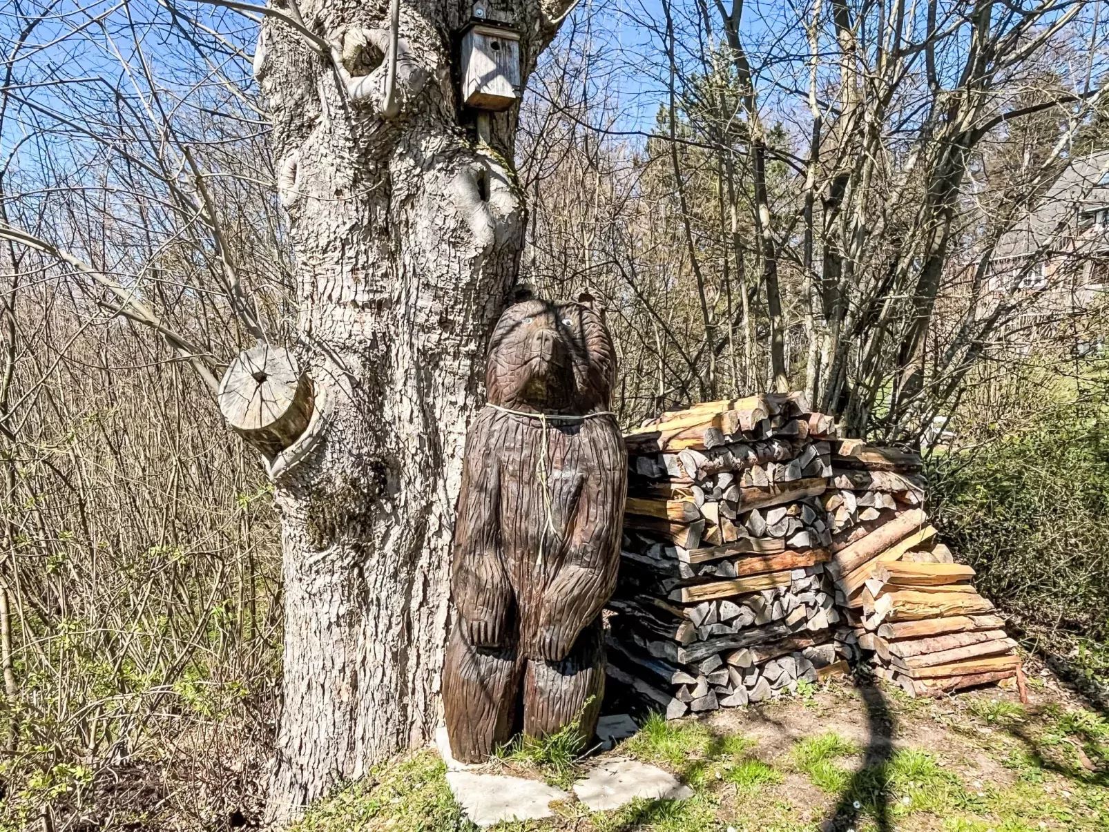 Alpenblick-Buiten