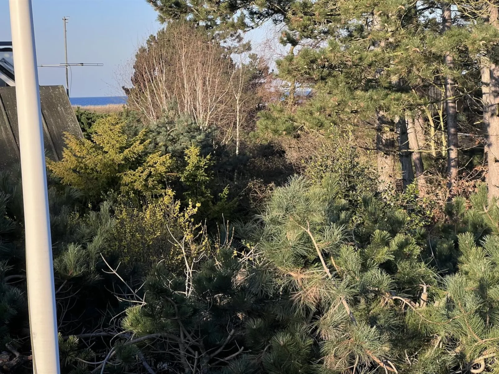 "Wiger" - 150m from the sea-Buiten