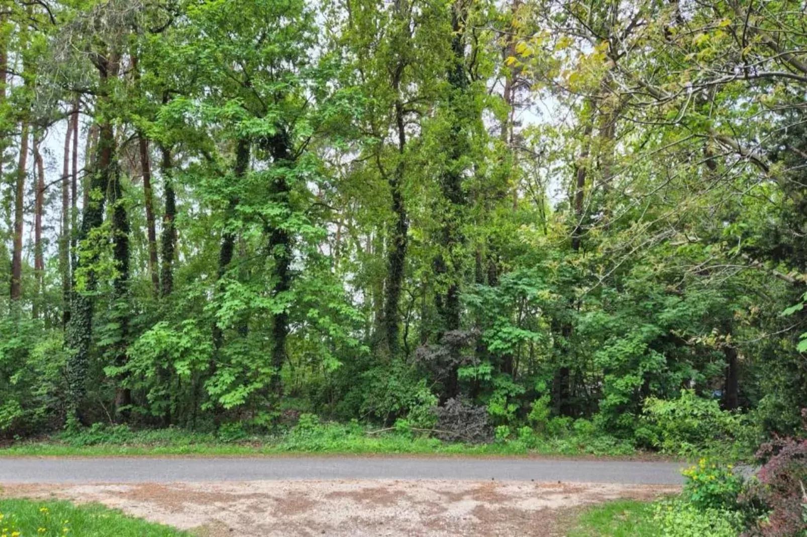 Waldsuite-Gebieden zomer 20km