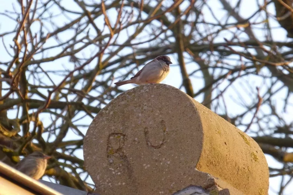 178168-Niet-getagd