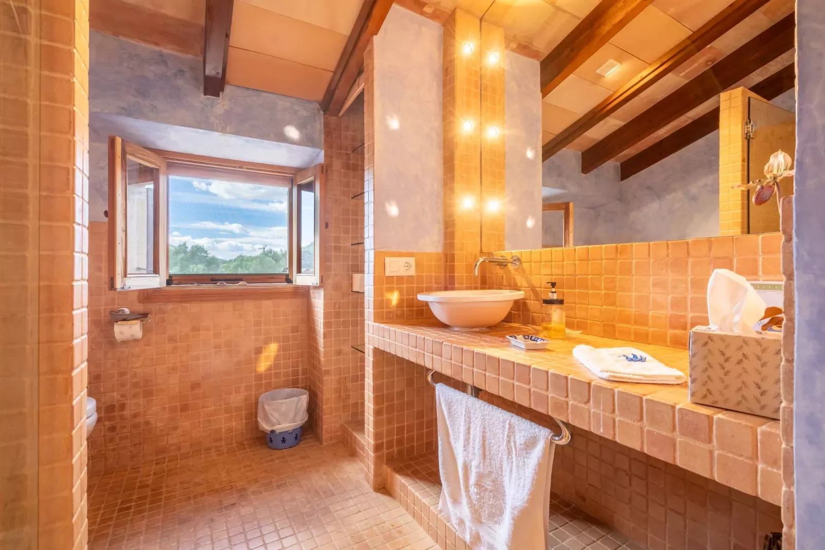 LeXiclati, Finca 5StarsHome Mallorca-Badkamer