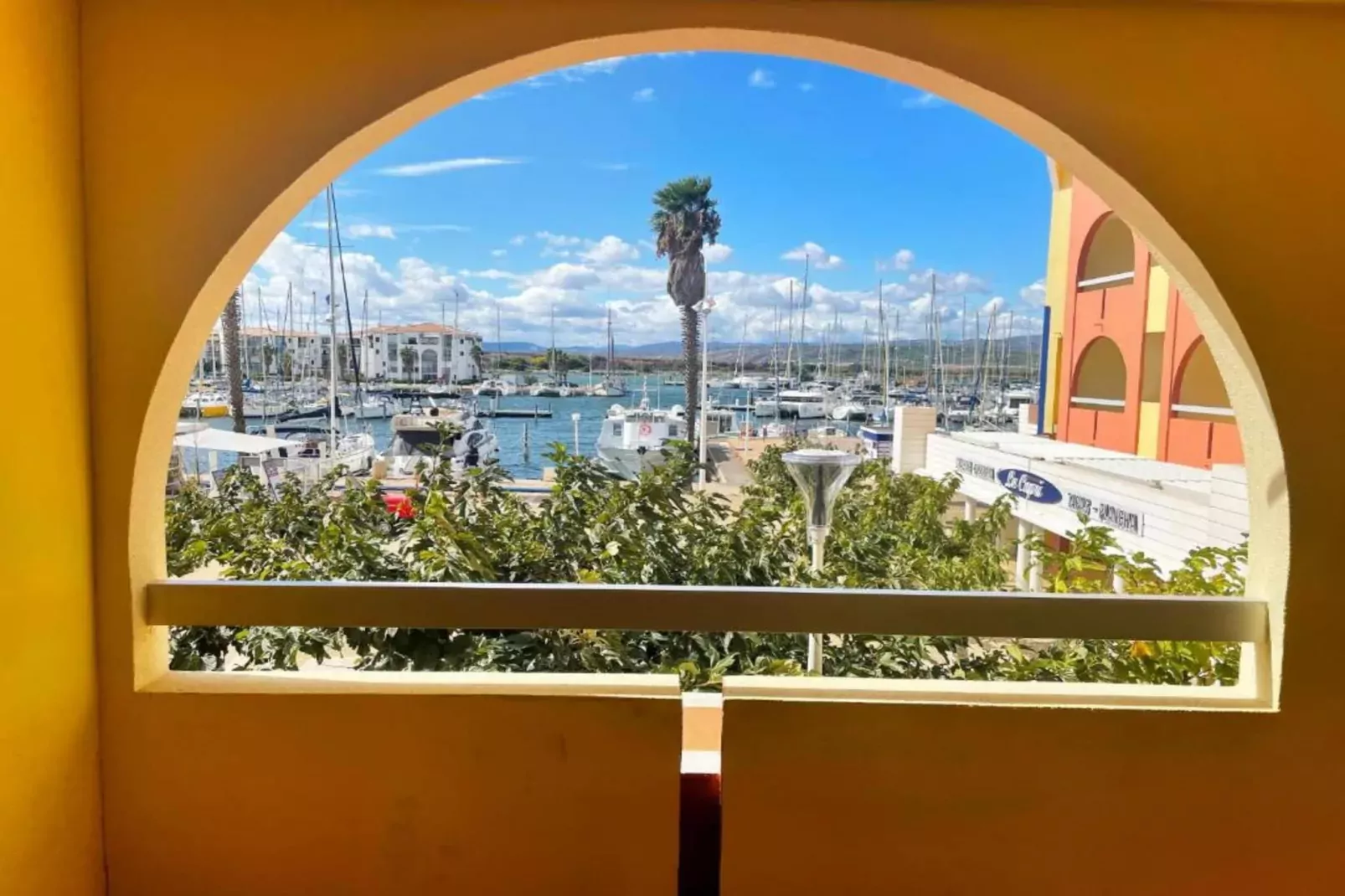 Appartement 1 Pièce 3 Personnes 1  bébé Vue Port-Uitzicht zomer